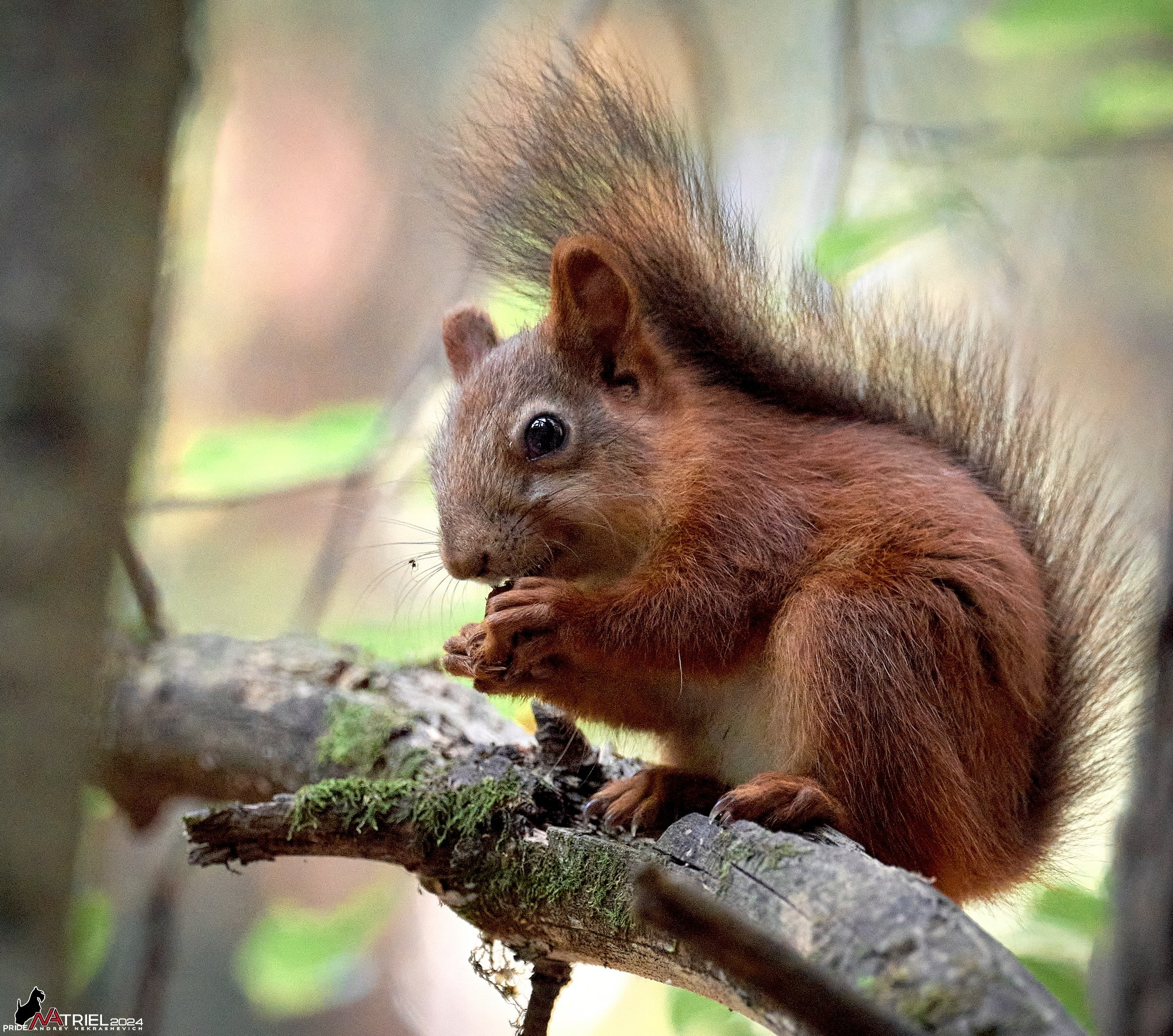 Фотопрогулка на природе