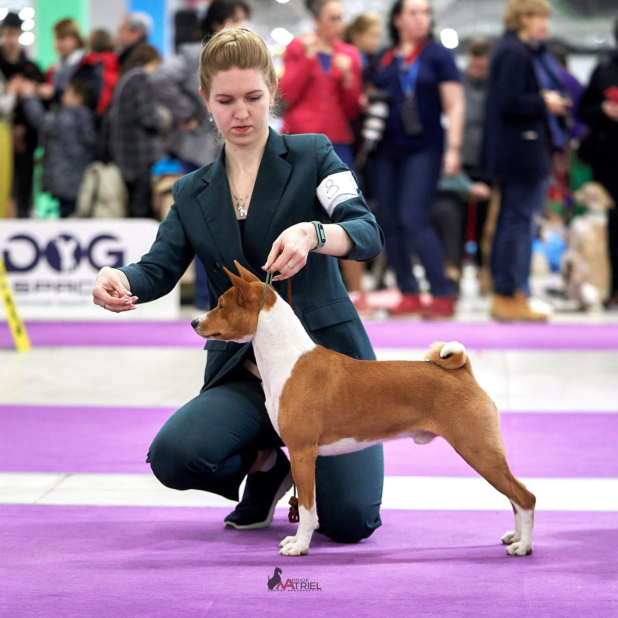 Работа в рингах — галерея NATRIEL