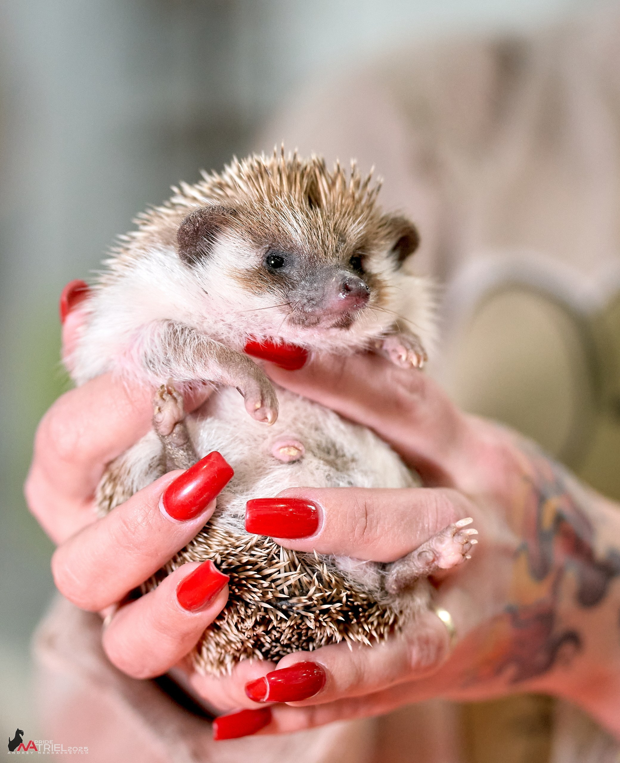 Репортаж с ЗООФЕСТ в Крокусе