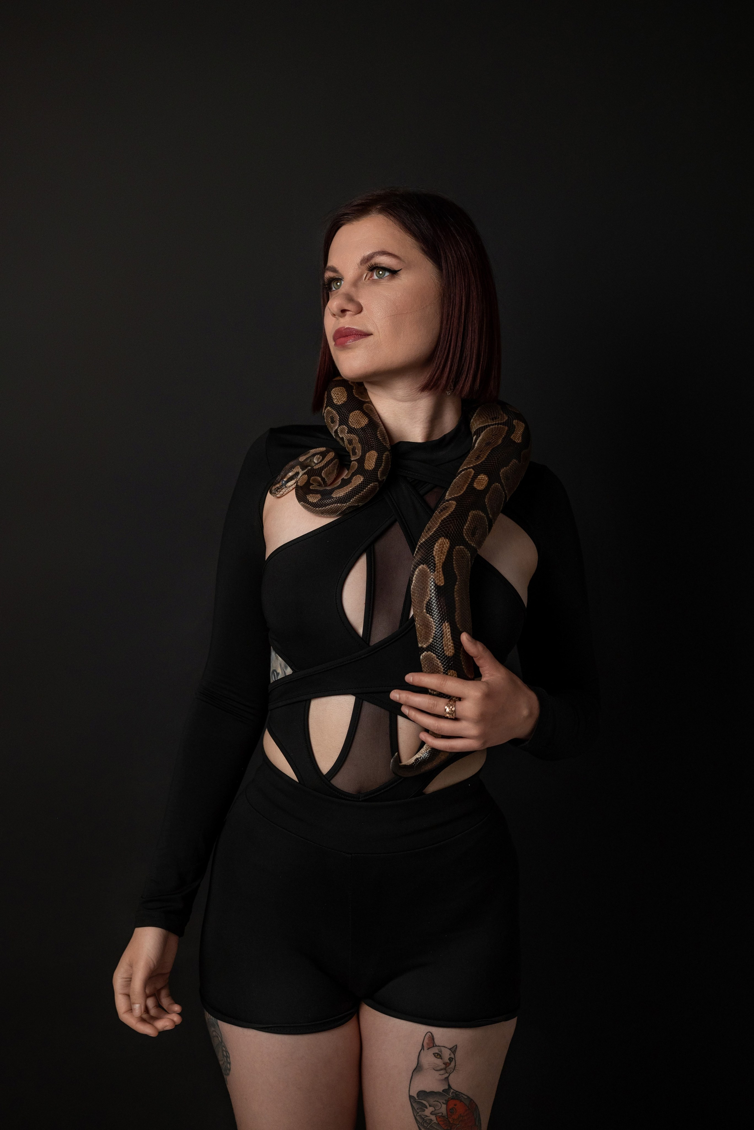 Фотопроект с питоном. Фотограф в городе Салават