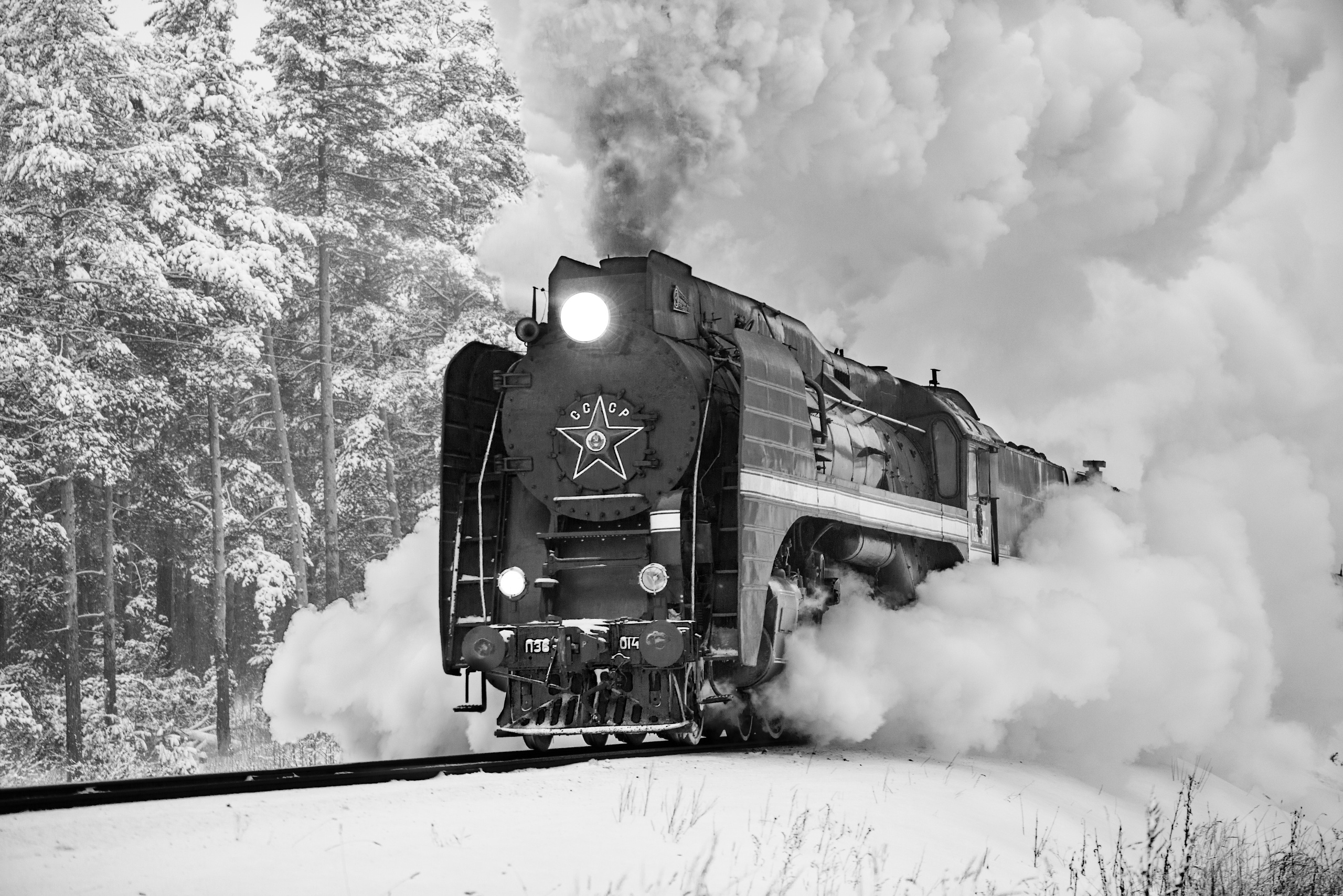 ЧБ. Фотограф Демин Дмитрий