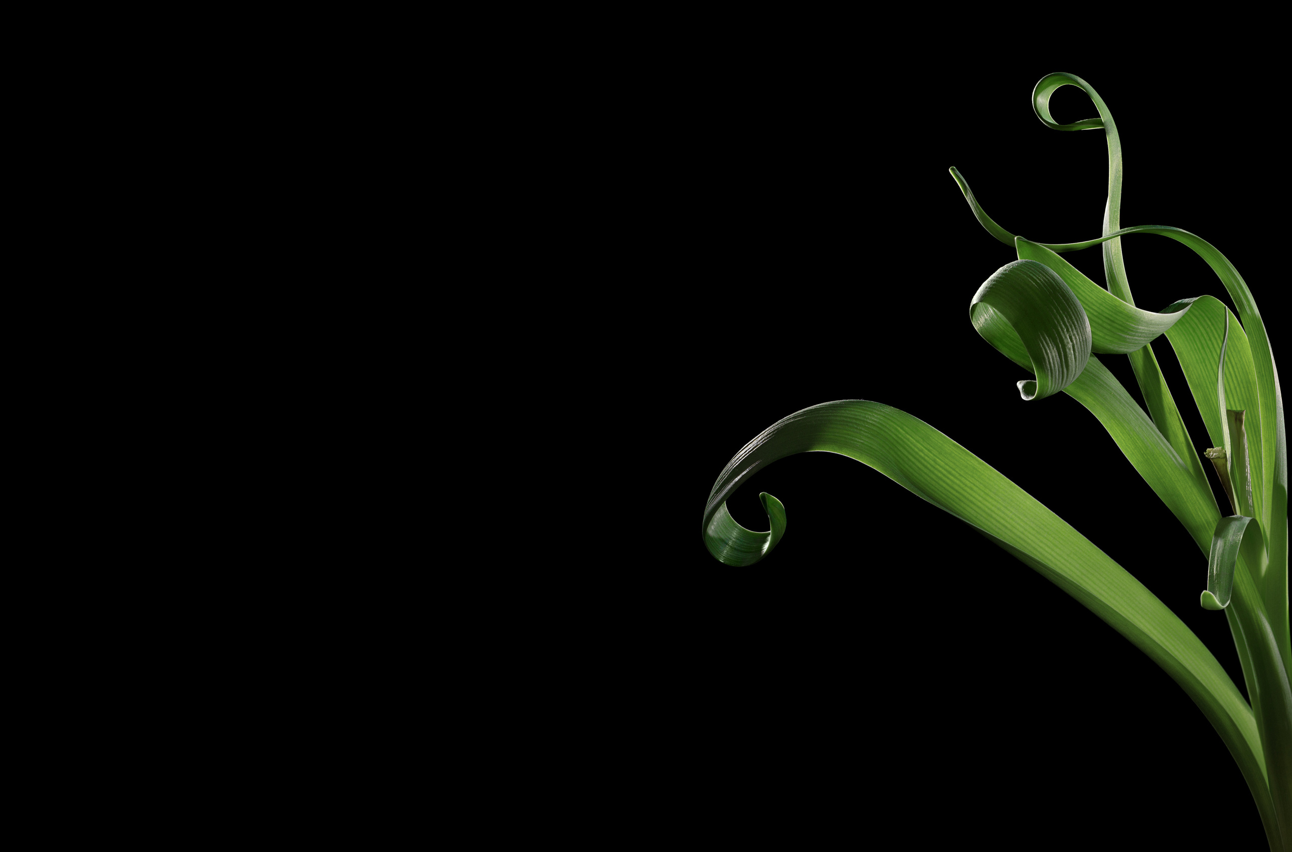 Предметы. Фотограф Демин Дмитрий