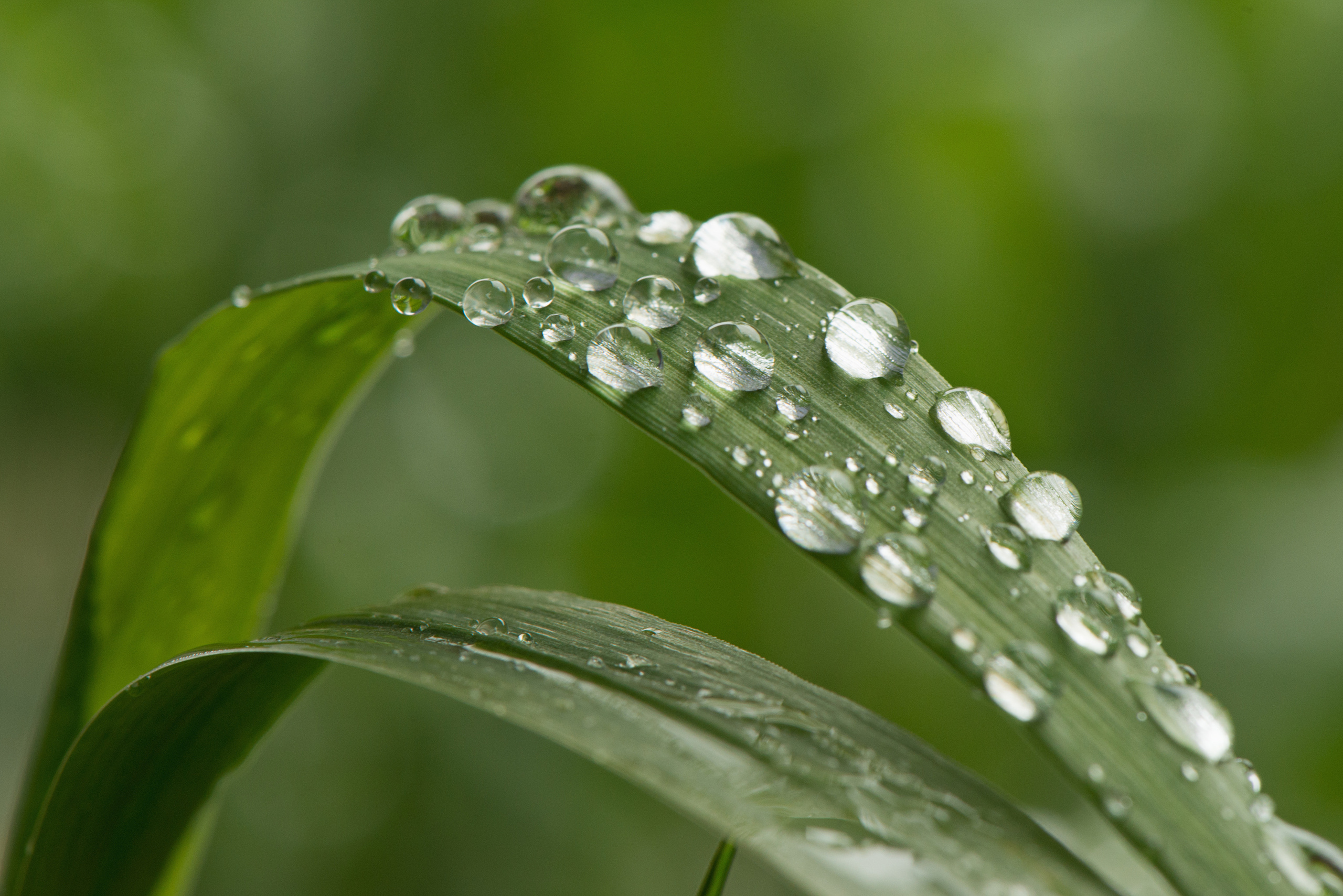 Предметы. Фотограф Демин Дмитрий