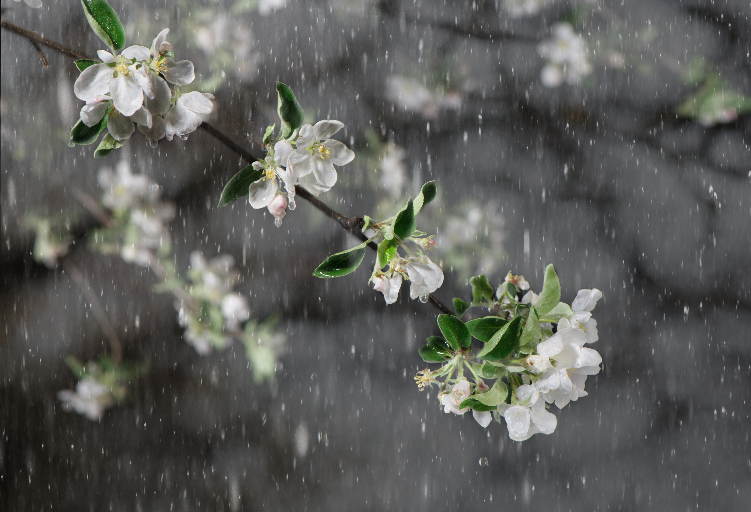 Предметы. Фотограф Демин Дмитрий