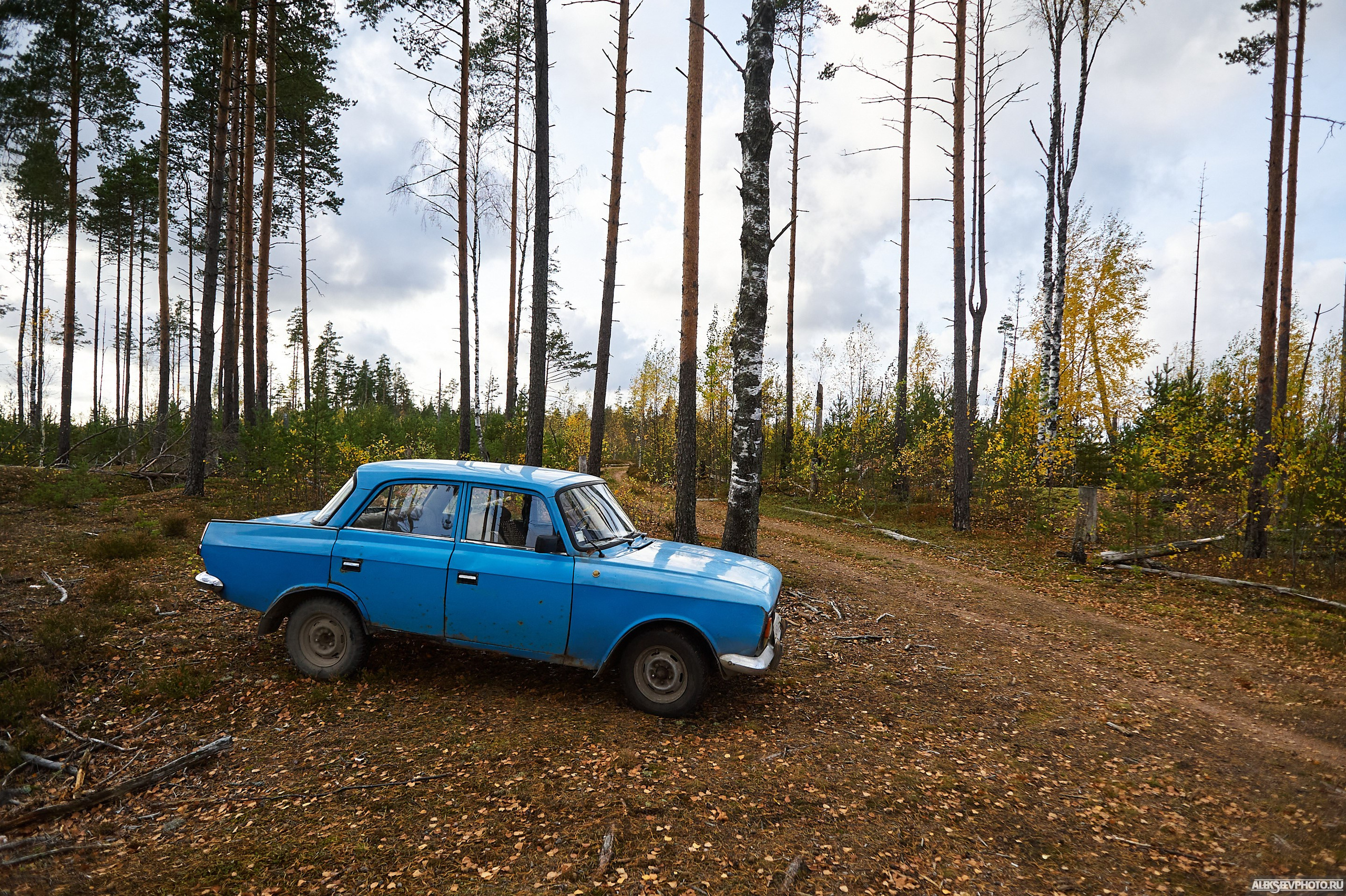 2020.10.10 — Финал Кубка ДОСААФ — спецучастки 1го дня. Фотограф Алексей Алексеев