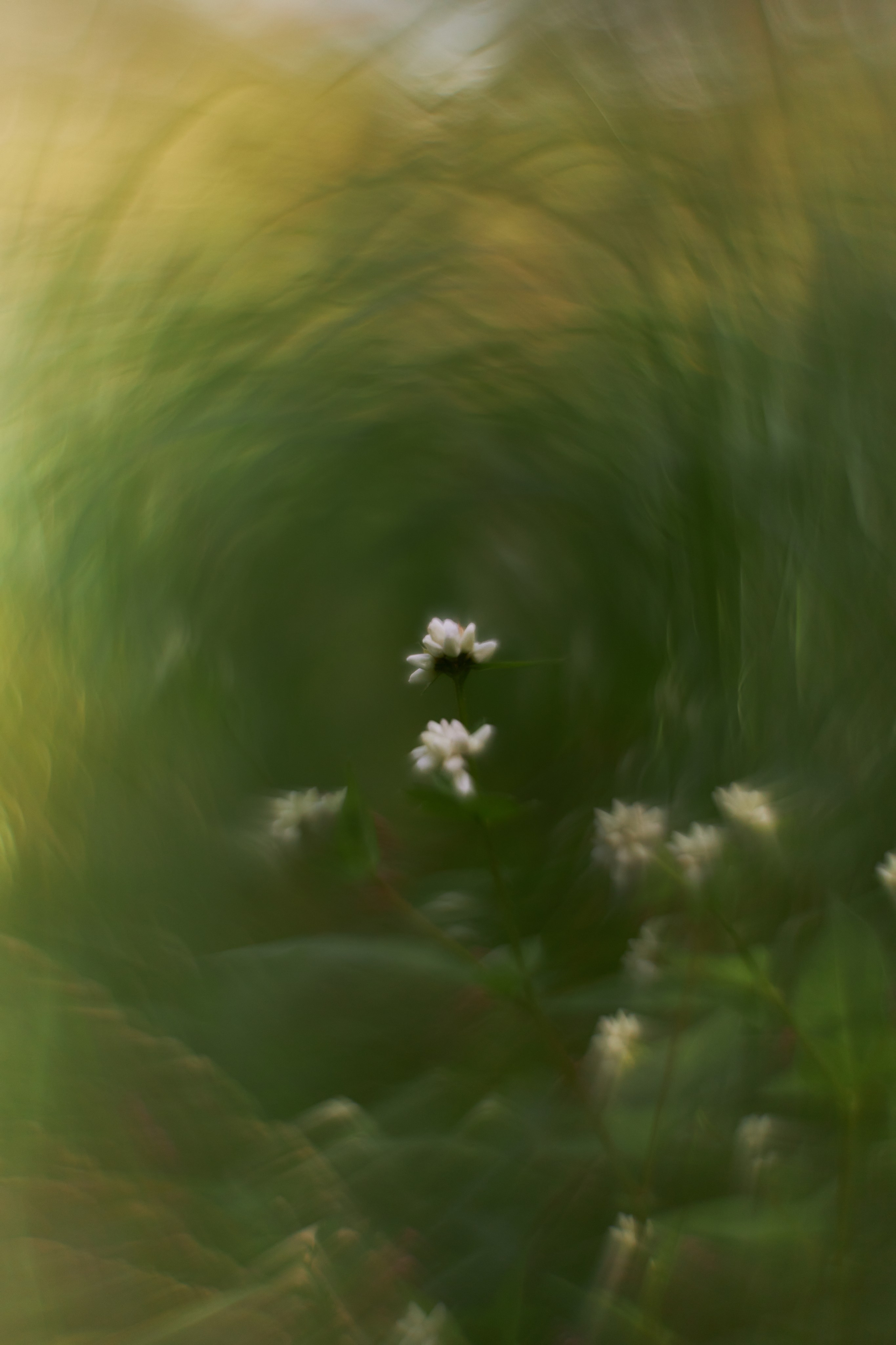 «Незримые Миры». Арт-фотограф во Владивостоке Дмитрий Осипчук