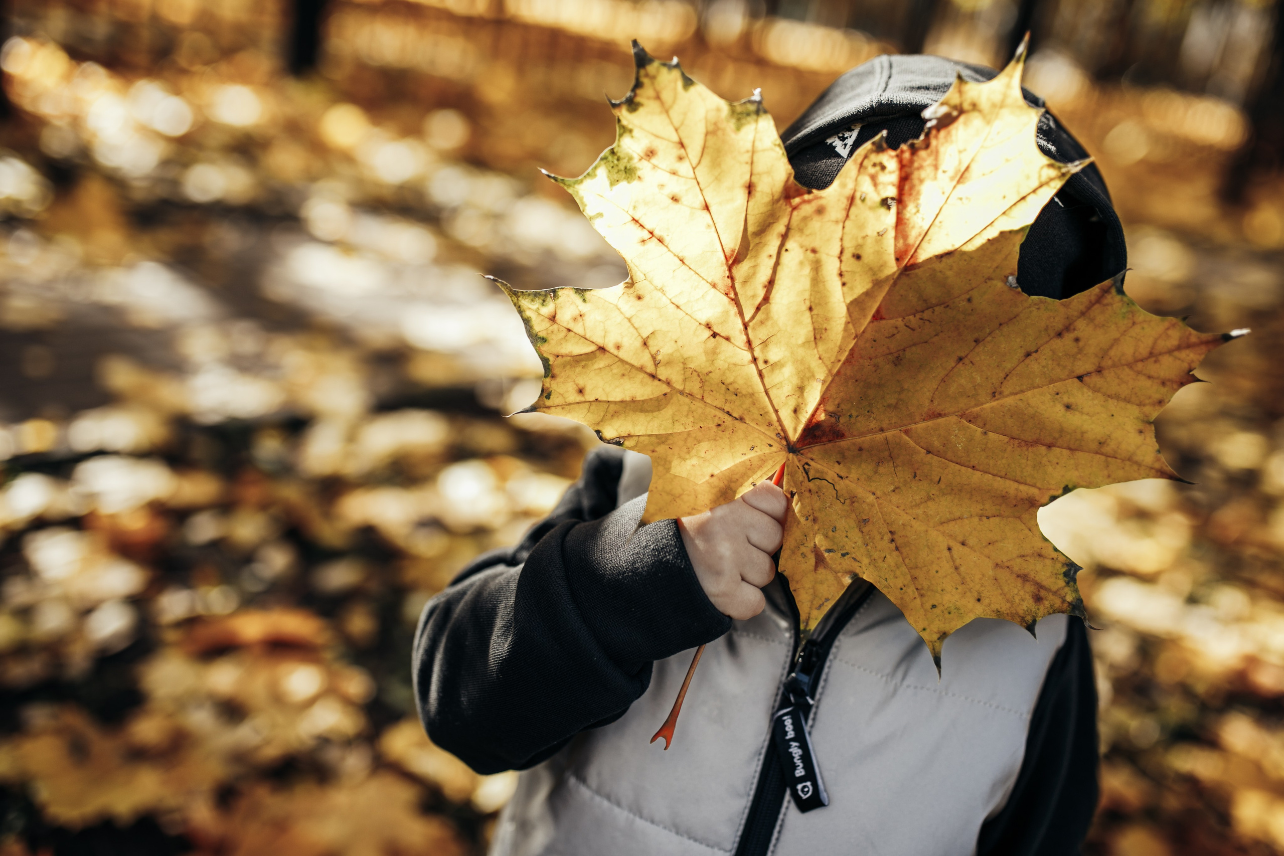 КОГДА ДЕРЕВЬЯ БЫЛИ БОЛЬШИМИ. Фотограф Лебедева Наталья