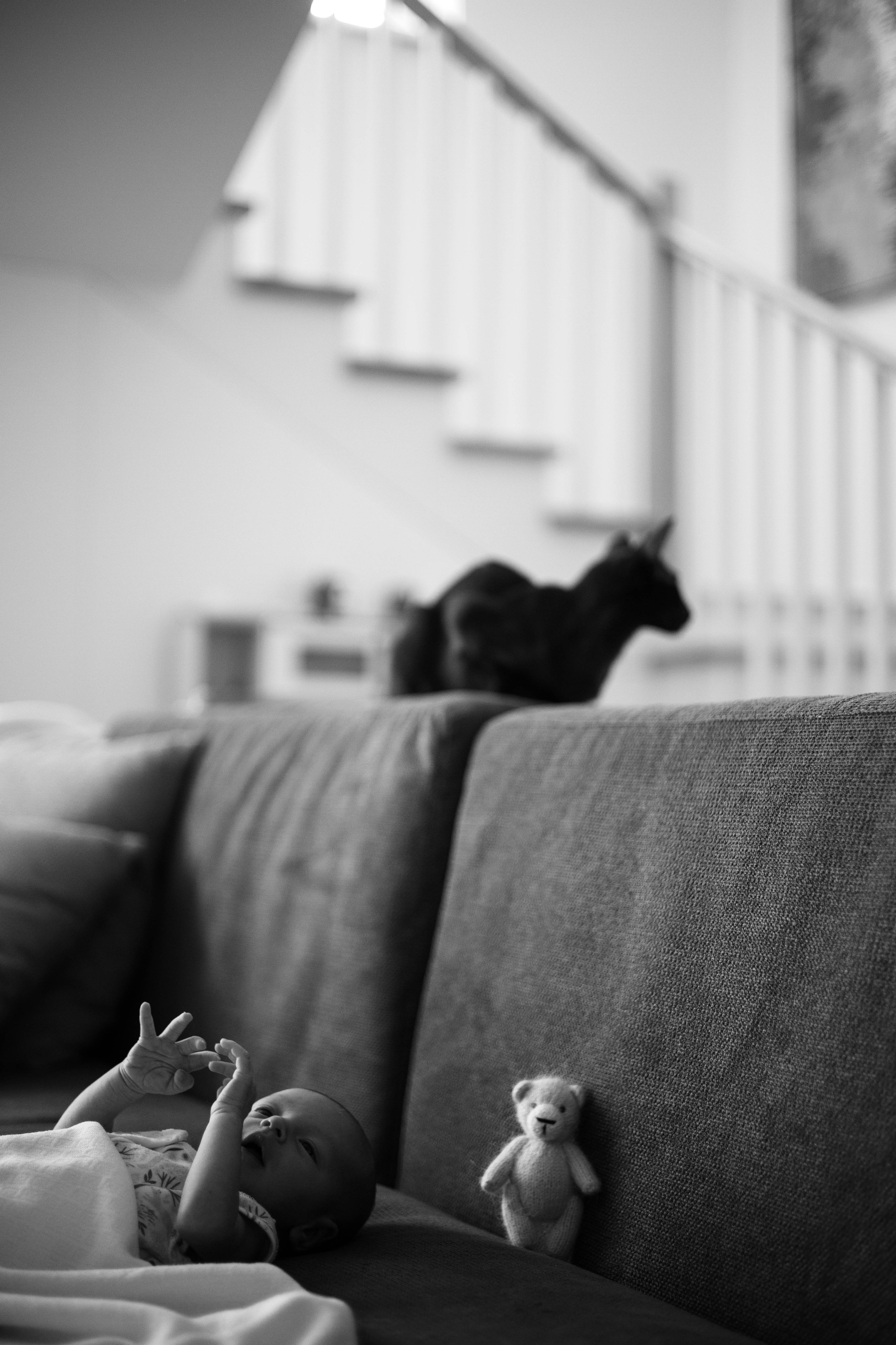 New born. Семейный и детский фотограф в Ростове-на-Дону Удалова Лина