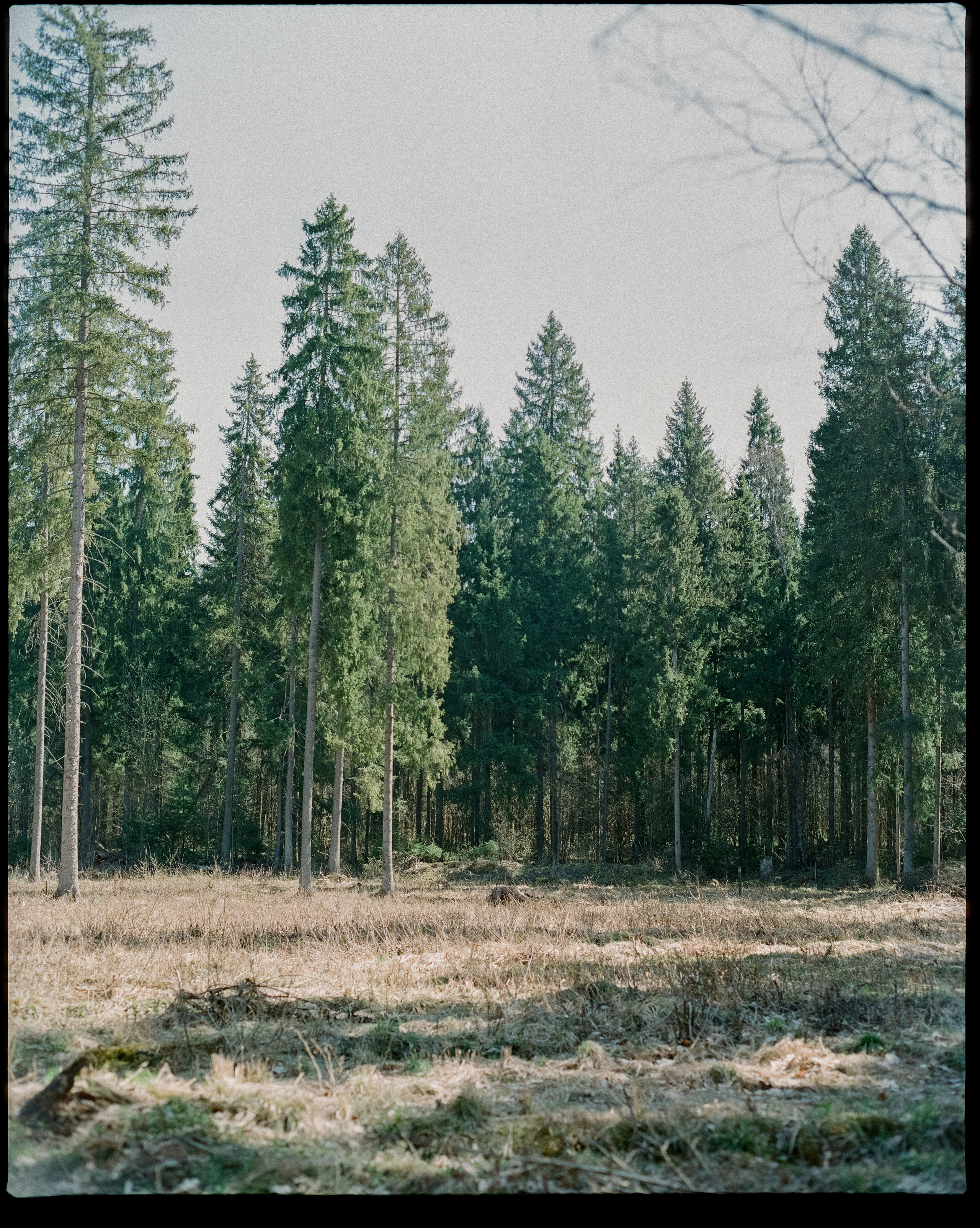 SMC Pentax 67 45mm f4