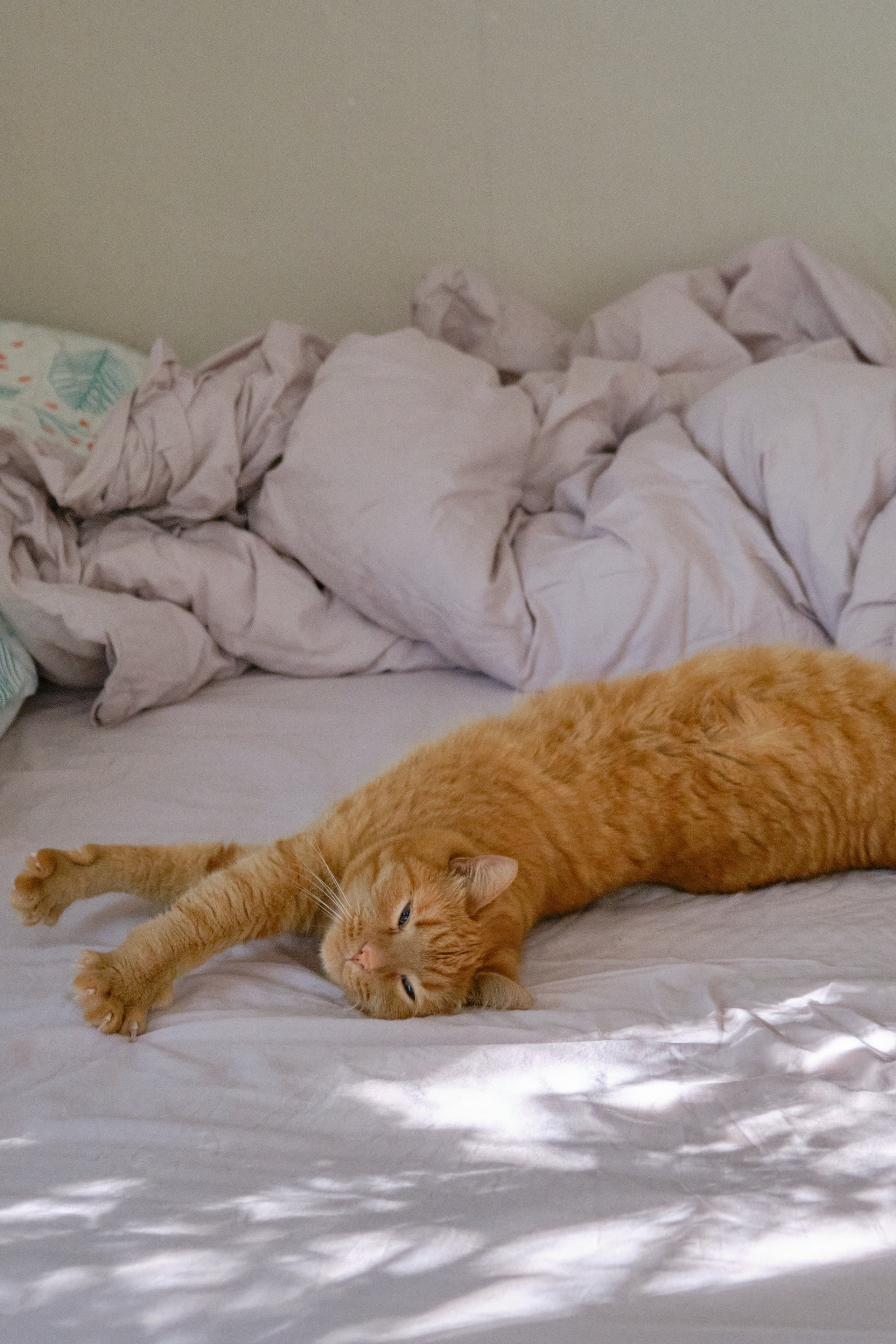 Замечательная повседневность. Контент-фотограф и видеограф в Перми