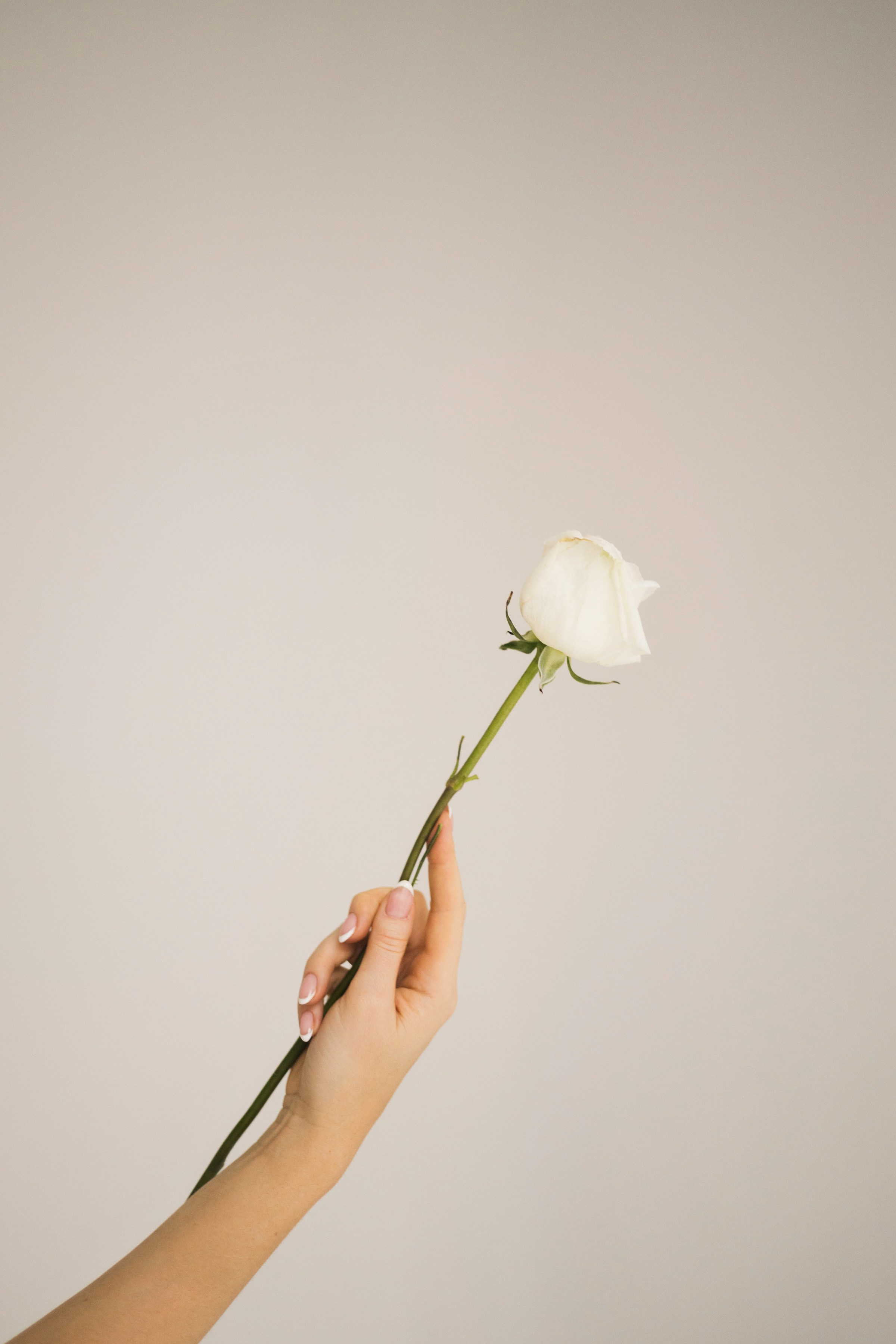 Психолог. Портретный фотограф СПб, женский фотограф, минимализм и эстетика