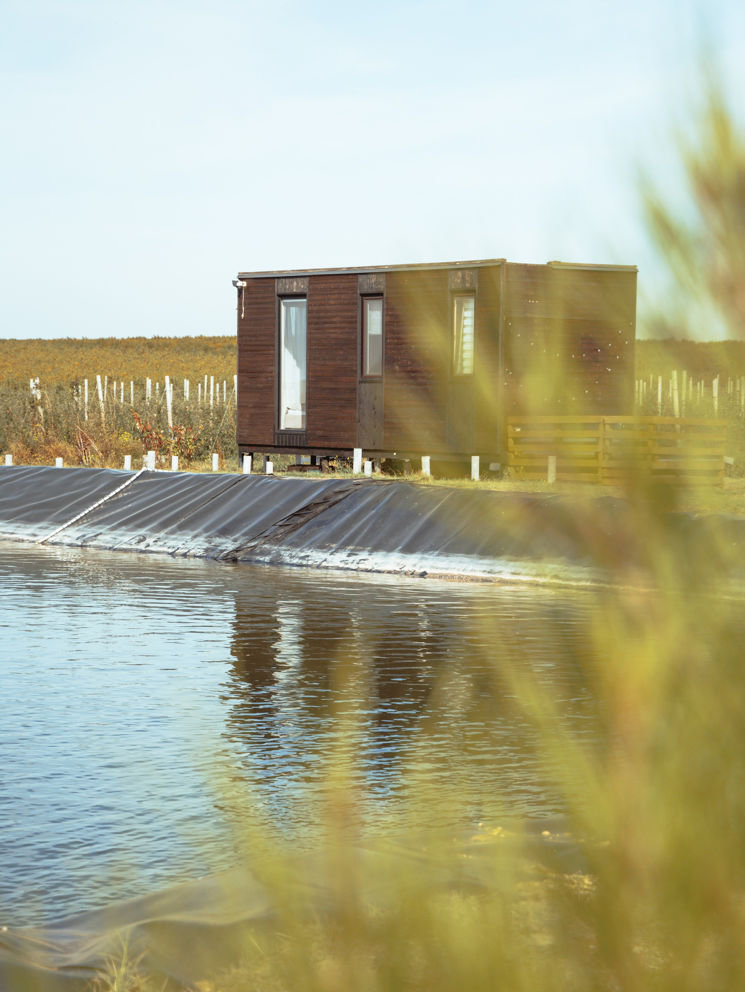 Domik в саду. Артем Корнев Фотограф