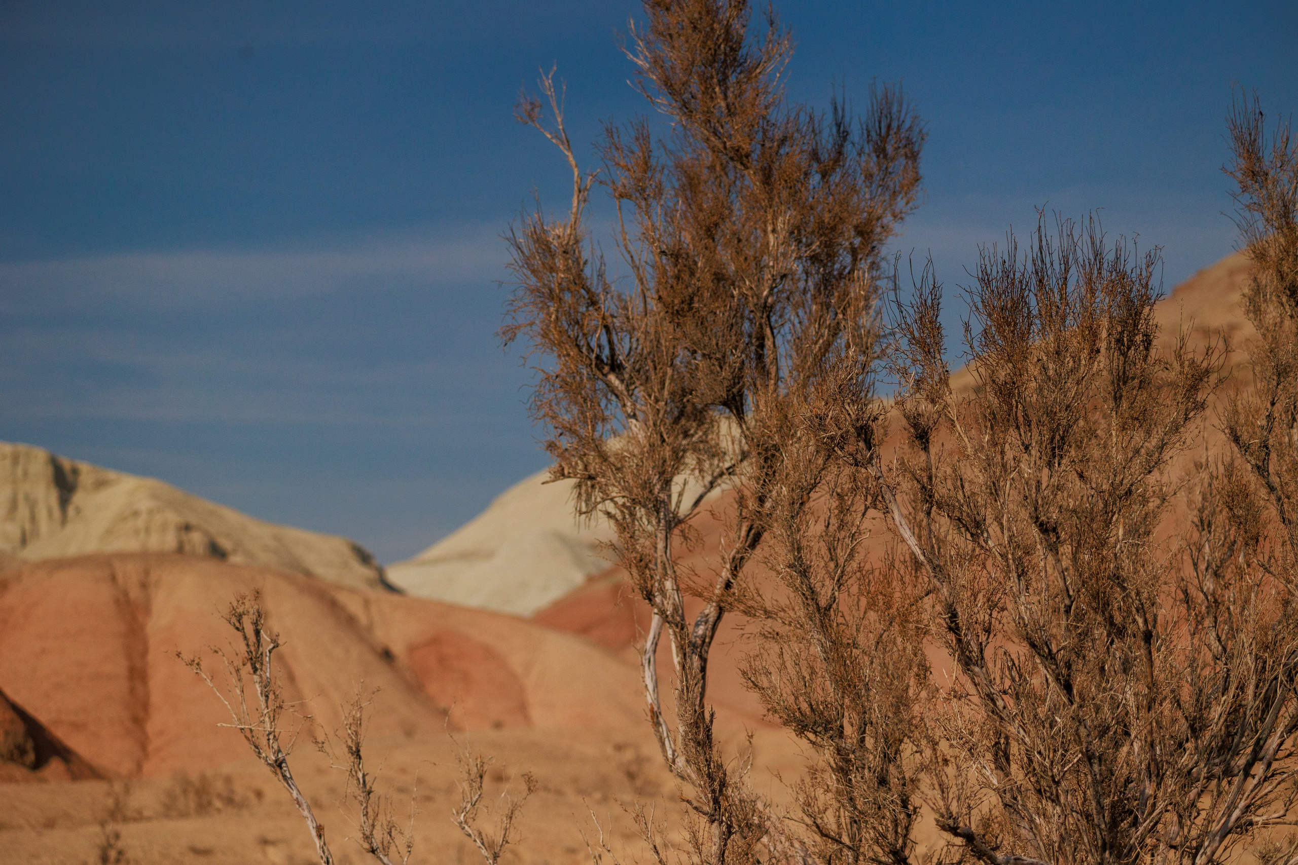 Алтын Эмель горы Актау. Фотограф Мальнева Юлия в Липецке, в Москве. Фотостудия MARU в Липецке