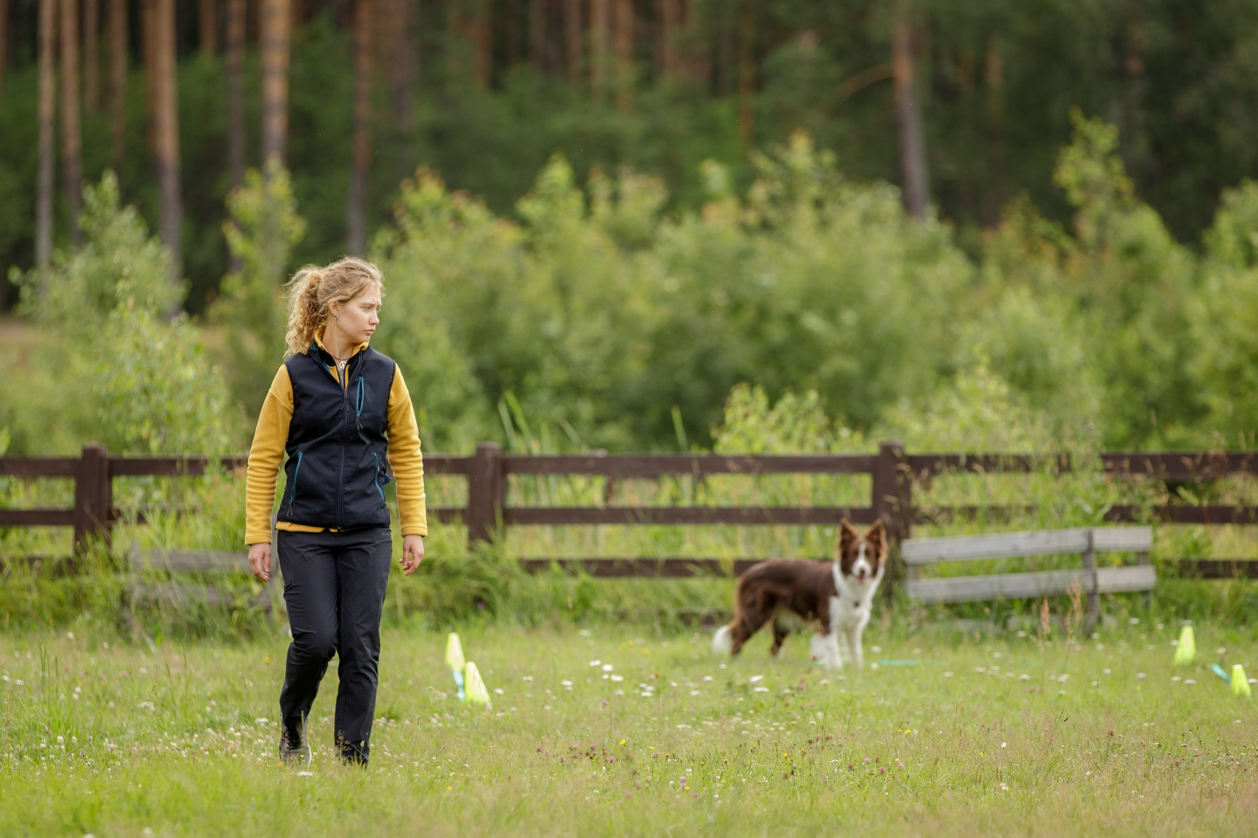 Лиза и Эни. Тренировка в лагере по обидиенс. Фотограф-анималист в Калуге Мария Шерскова
