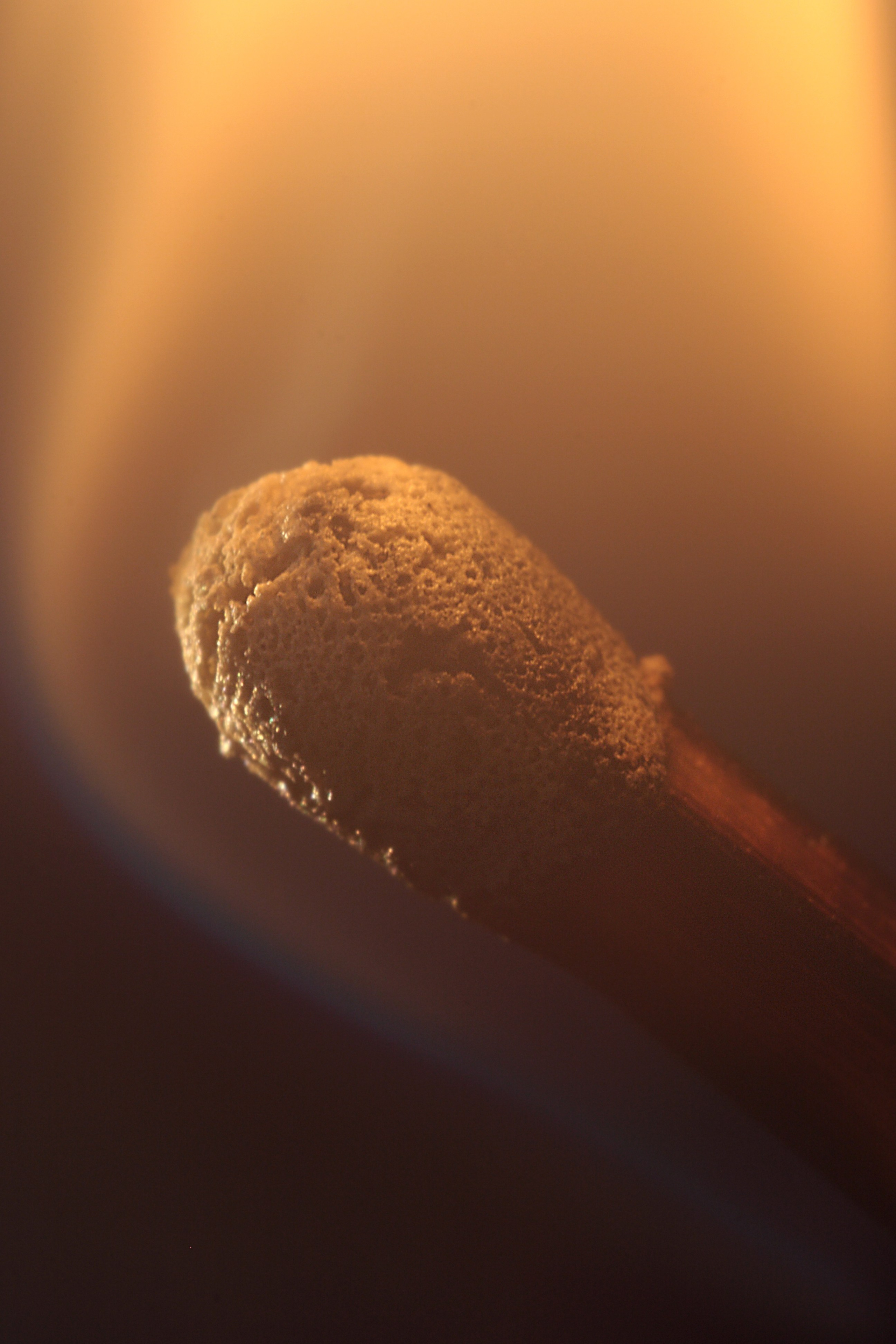 Макро. Фотограф Лагутин Анатолий