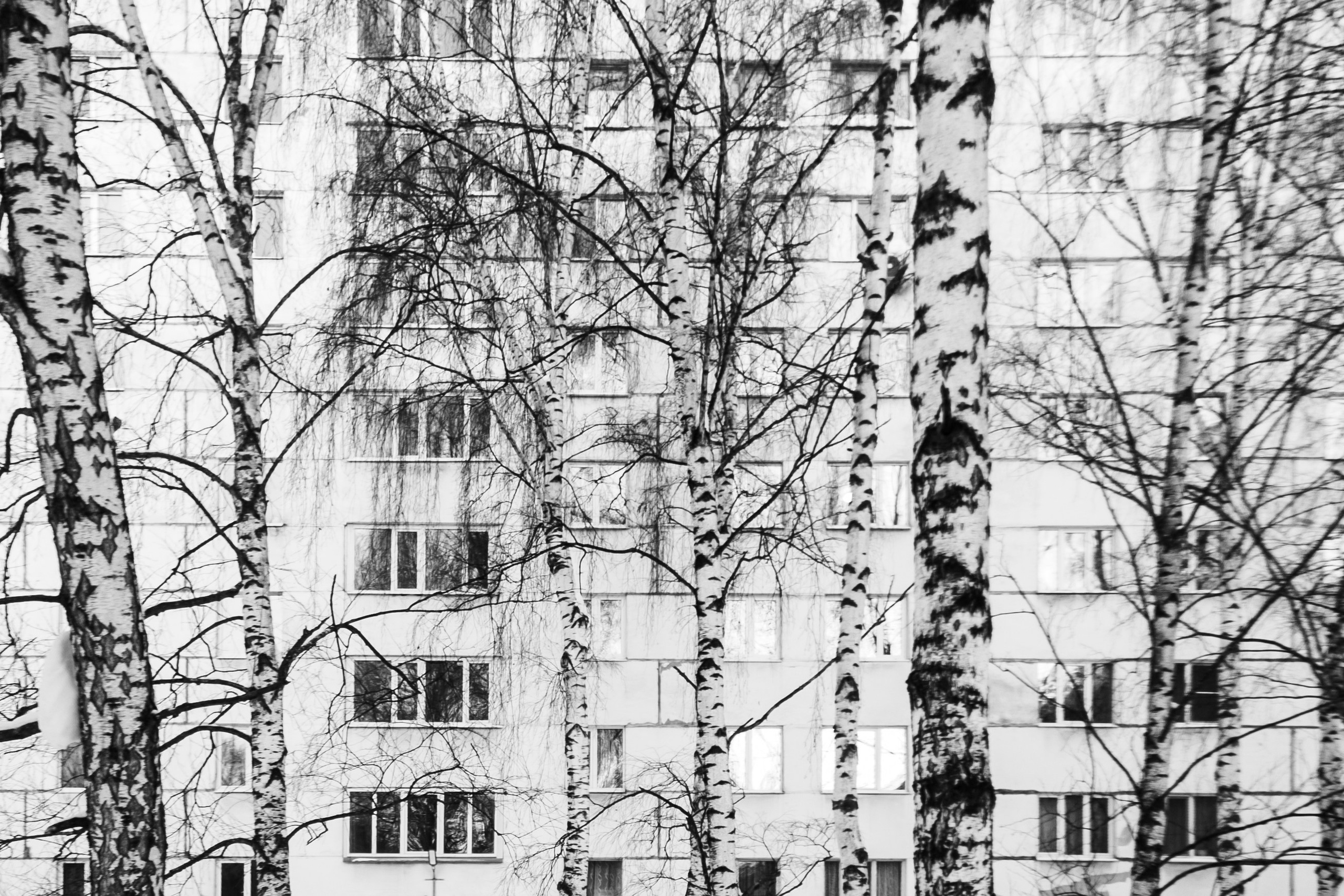 Родные узоры. Россия. Олег Романов. Мастер фото по спорту