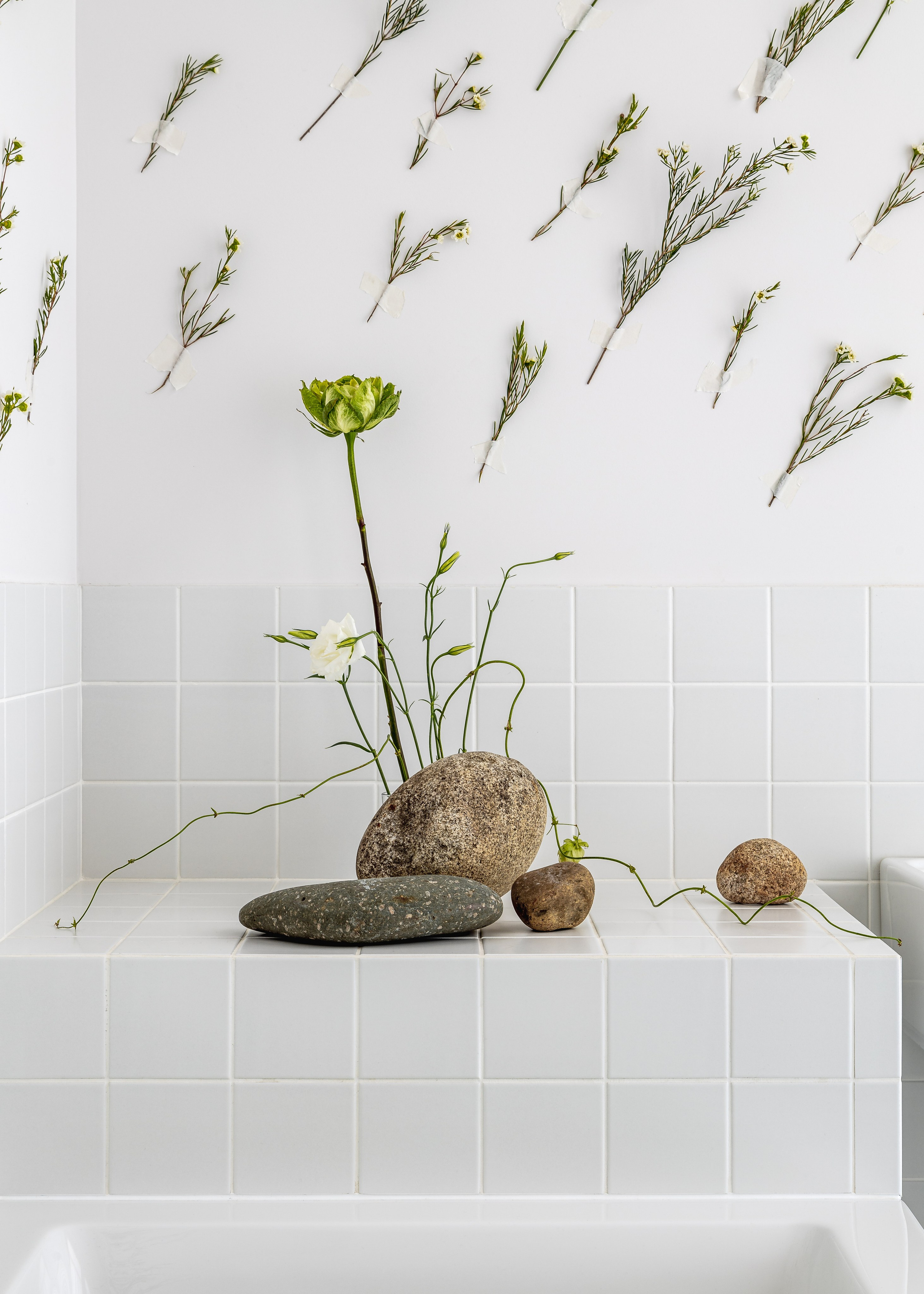 Фотостудия 251. Дизайнер интерьеров