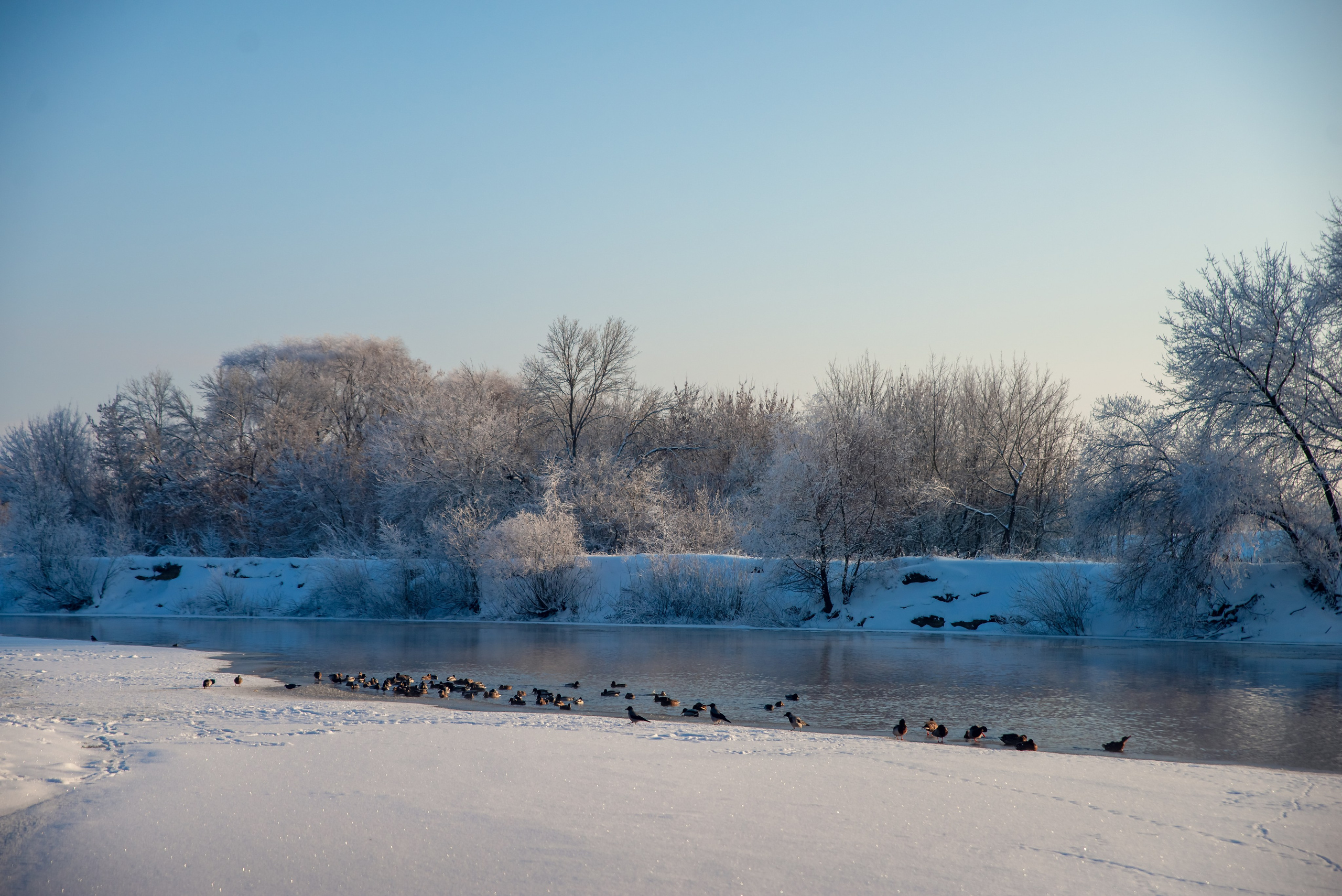 Зимушка зима. Фотограф Крещение Венчание Москва