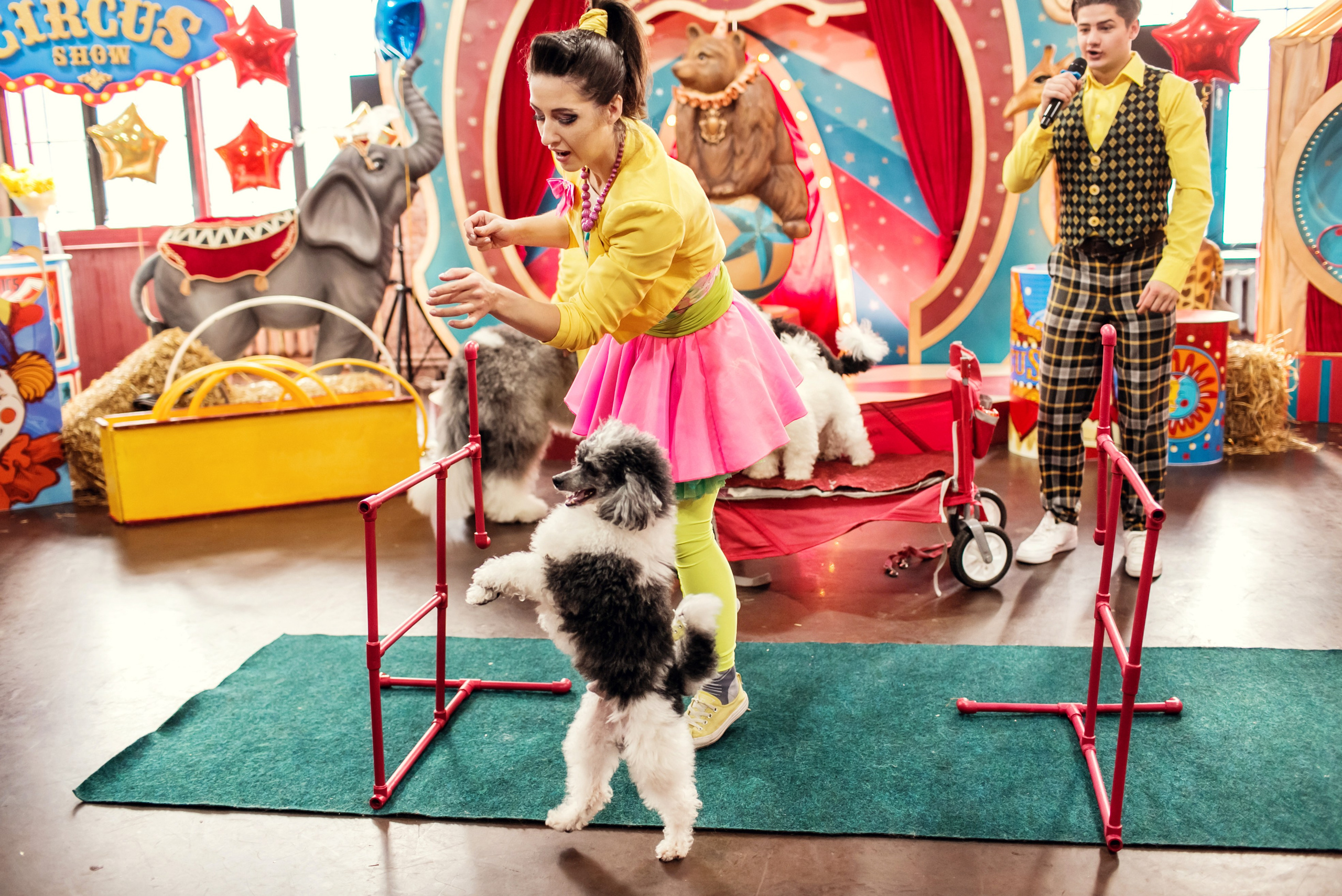 Насте 5 лет. Детский и семейный фотограф в Москве Анна Ипатьева