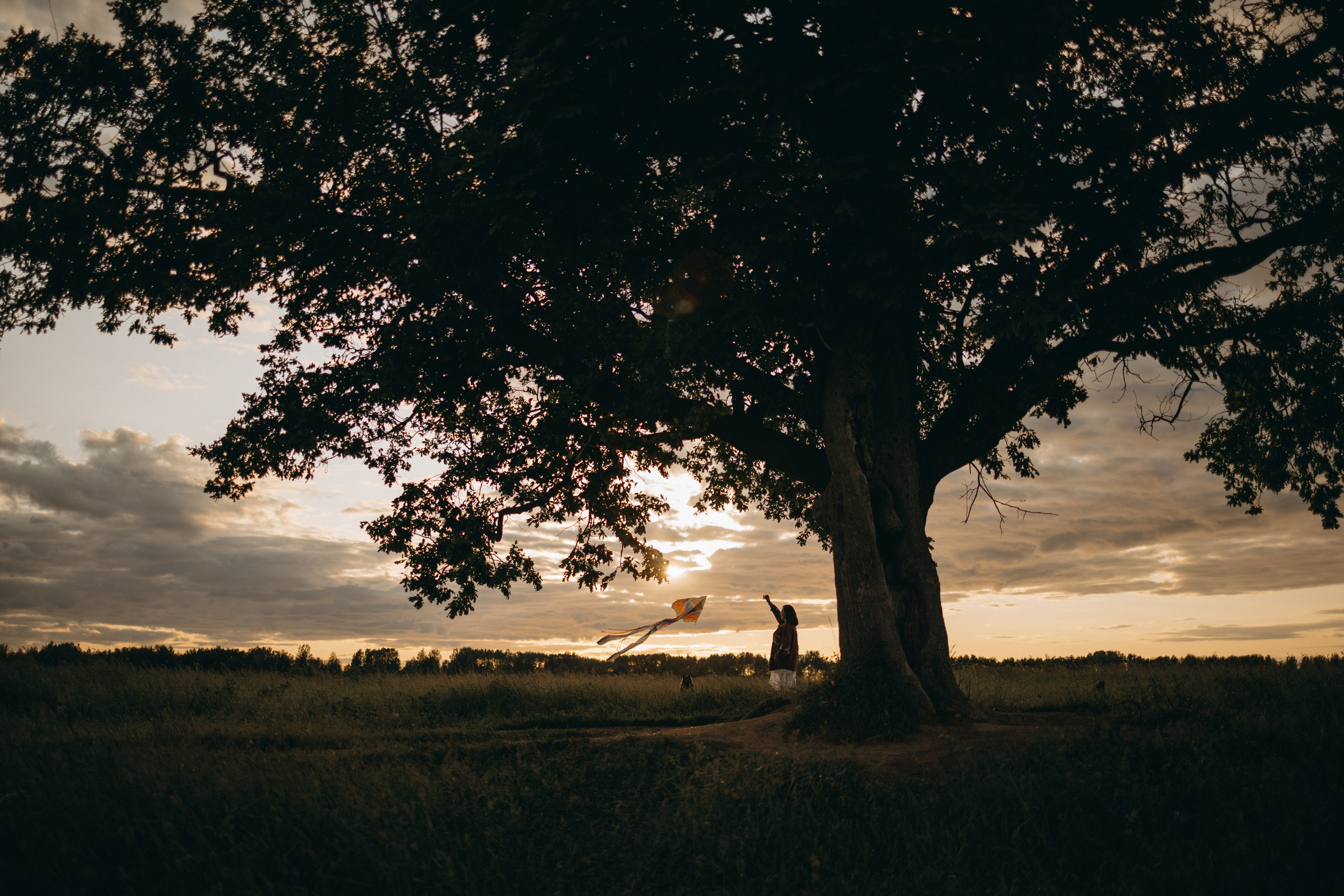 Анна и Максимус. Фотограф — Анималист | Санкт-Петербург