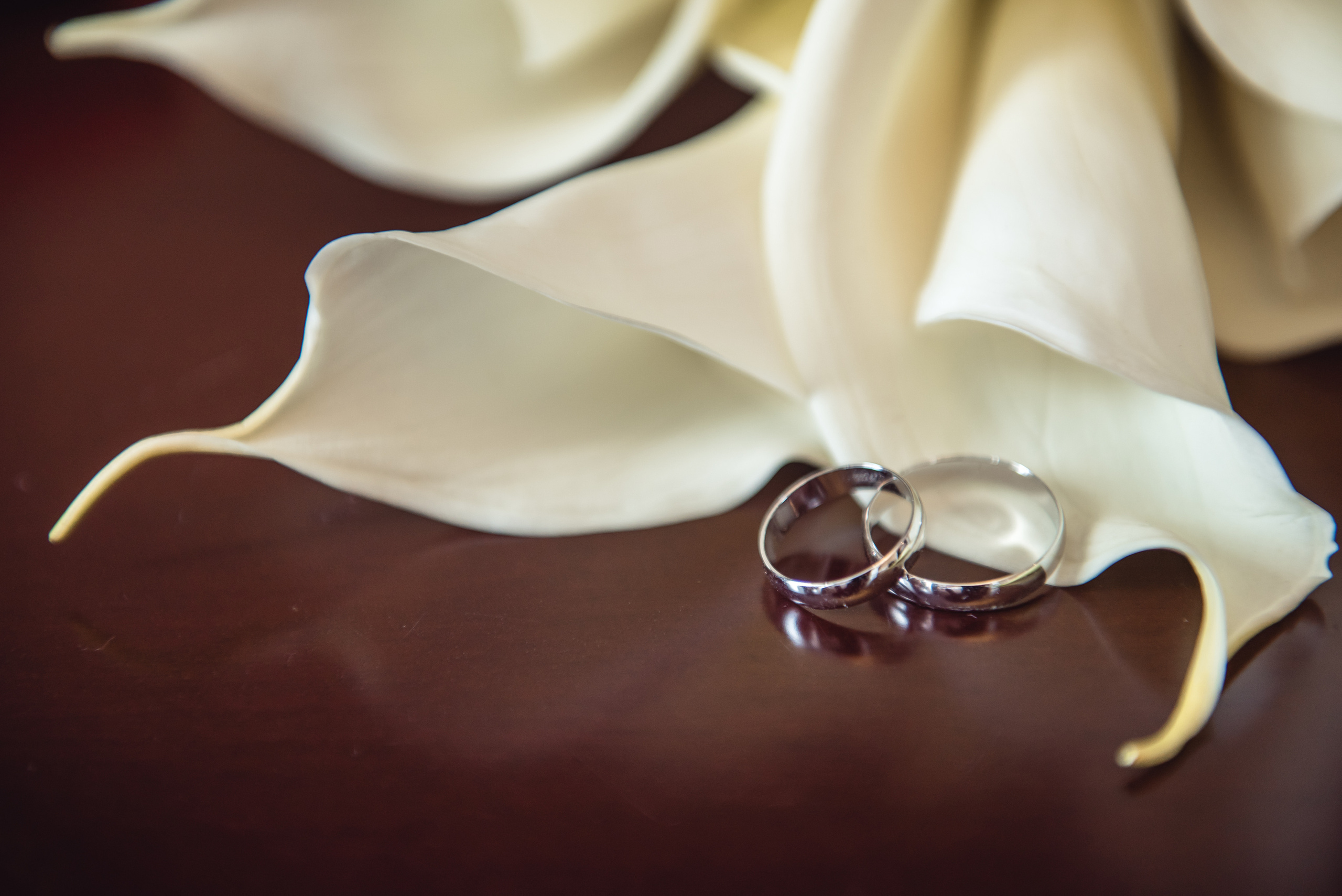 Портфолио / виды съемок. Свадебный, семейный фотограф в СПб Татьяна Игнашева. Выпускные альбомы