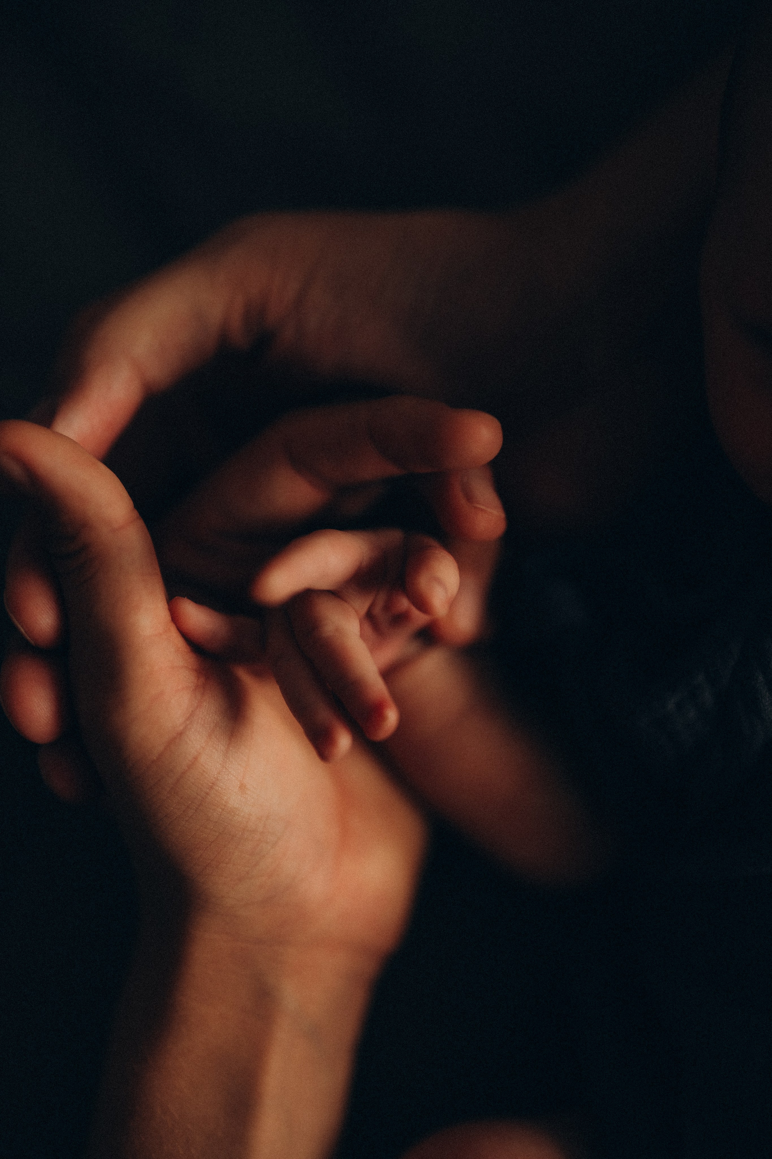 Платон. Евгения Пелипас