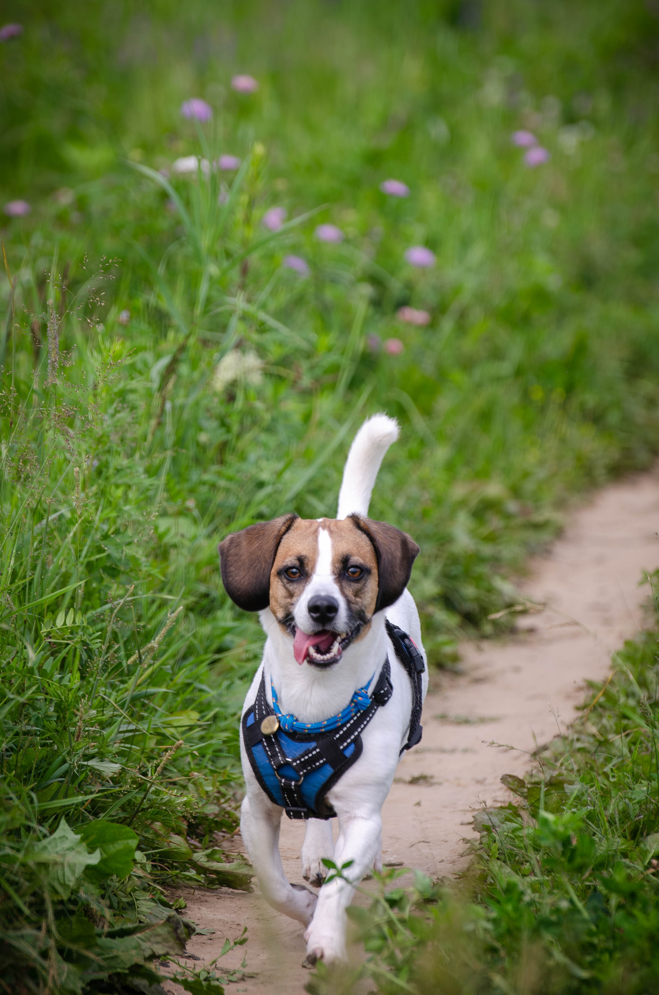 Прогулка (Лохин остров). Фотограф Светлана Блинова, Москва и Московская область