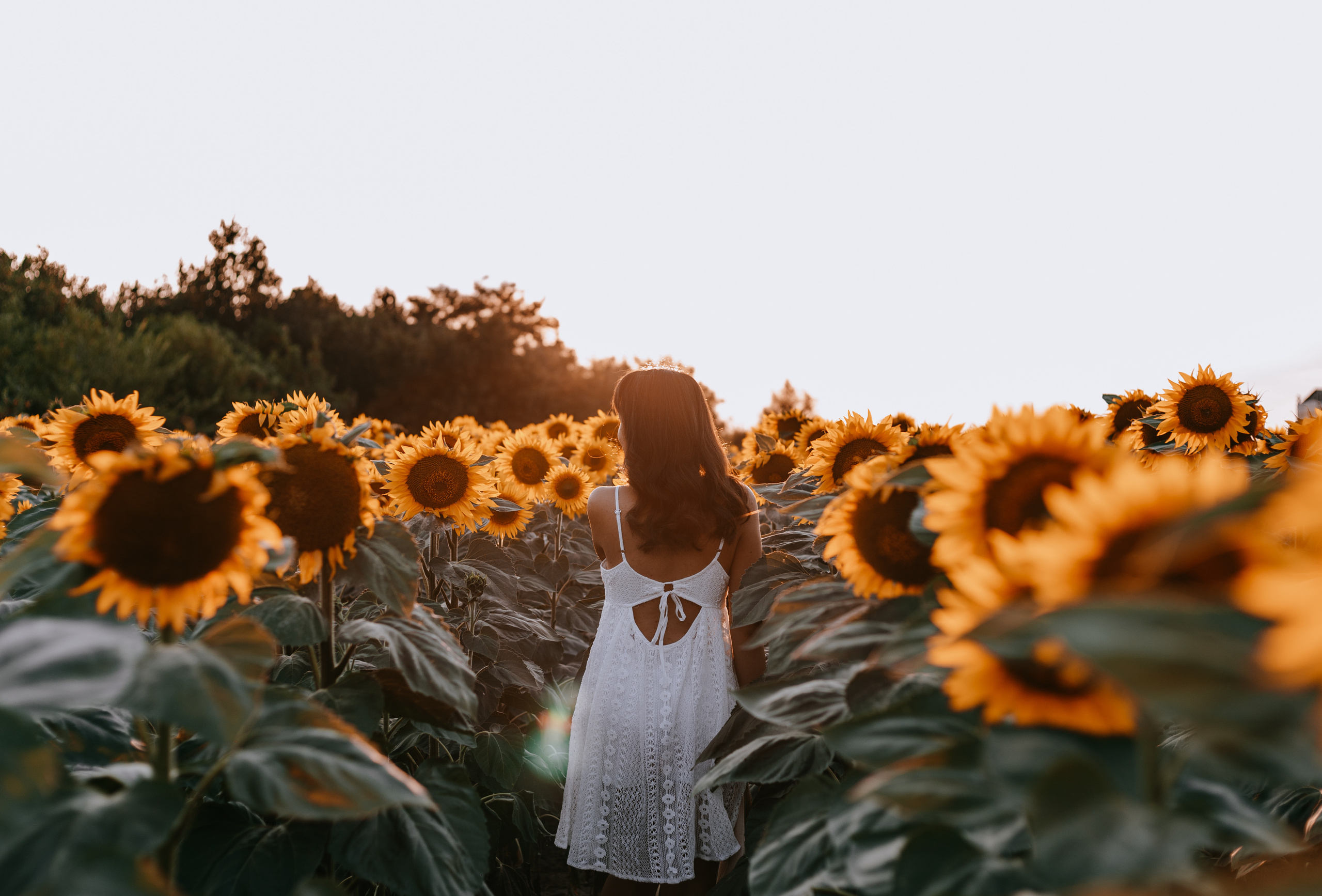 Солнце внутри меня…. Фотограф Виктория Славнова