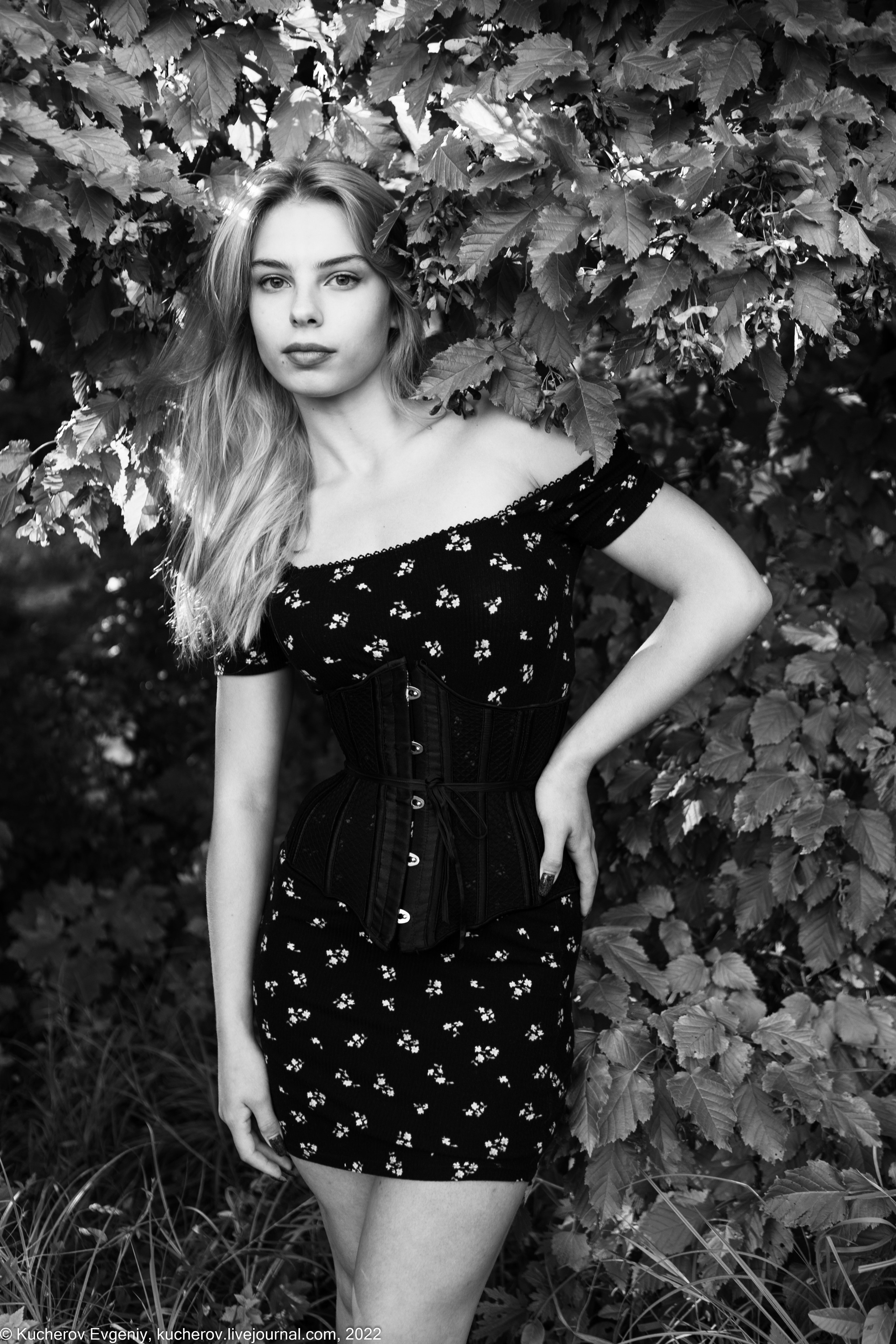 Виктория. Кучеров Евгений. Фотограф