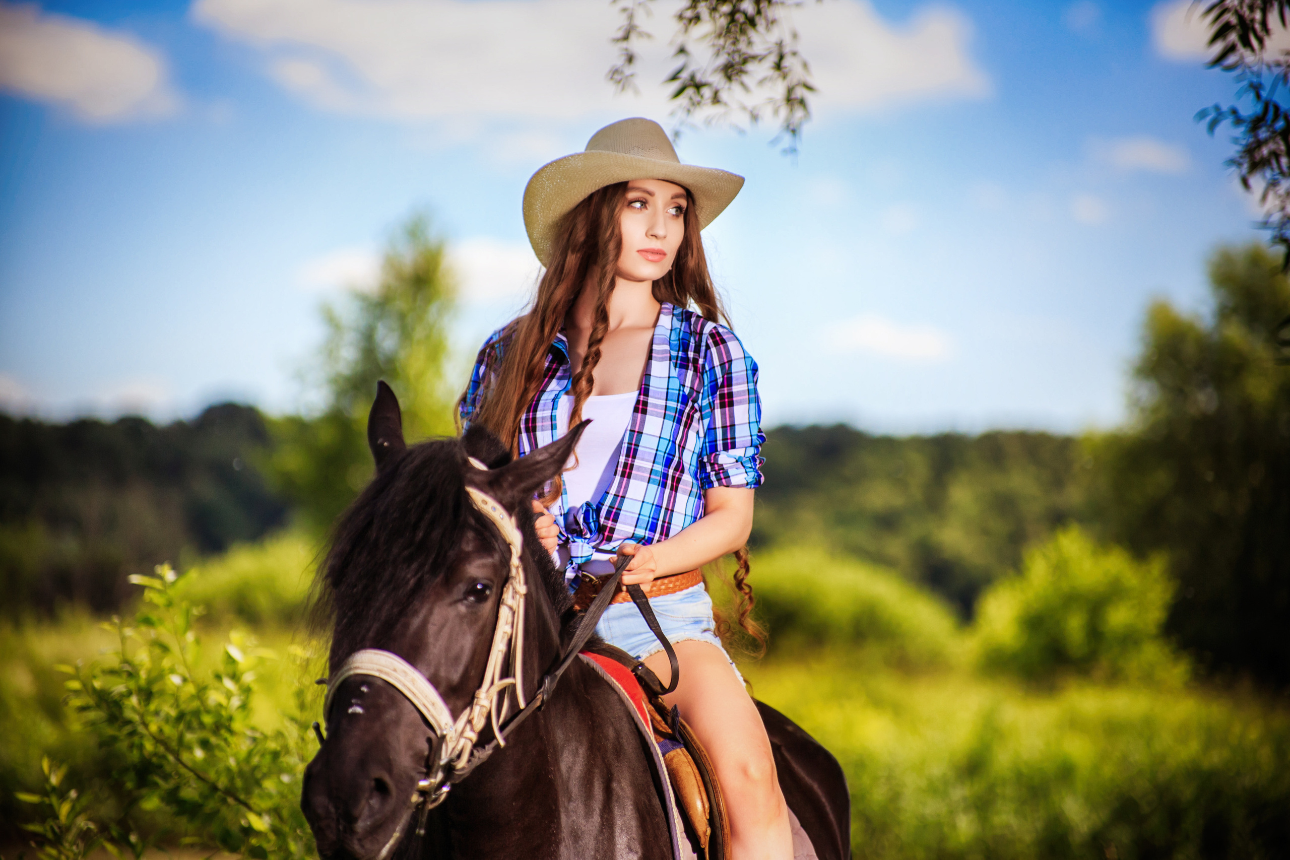 Фотосессия с лошадьми в Москве. Профессиональная фото и видеосъемка. Москва