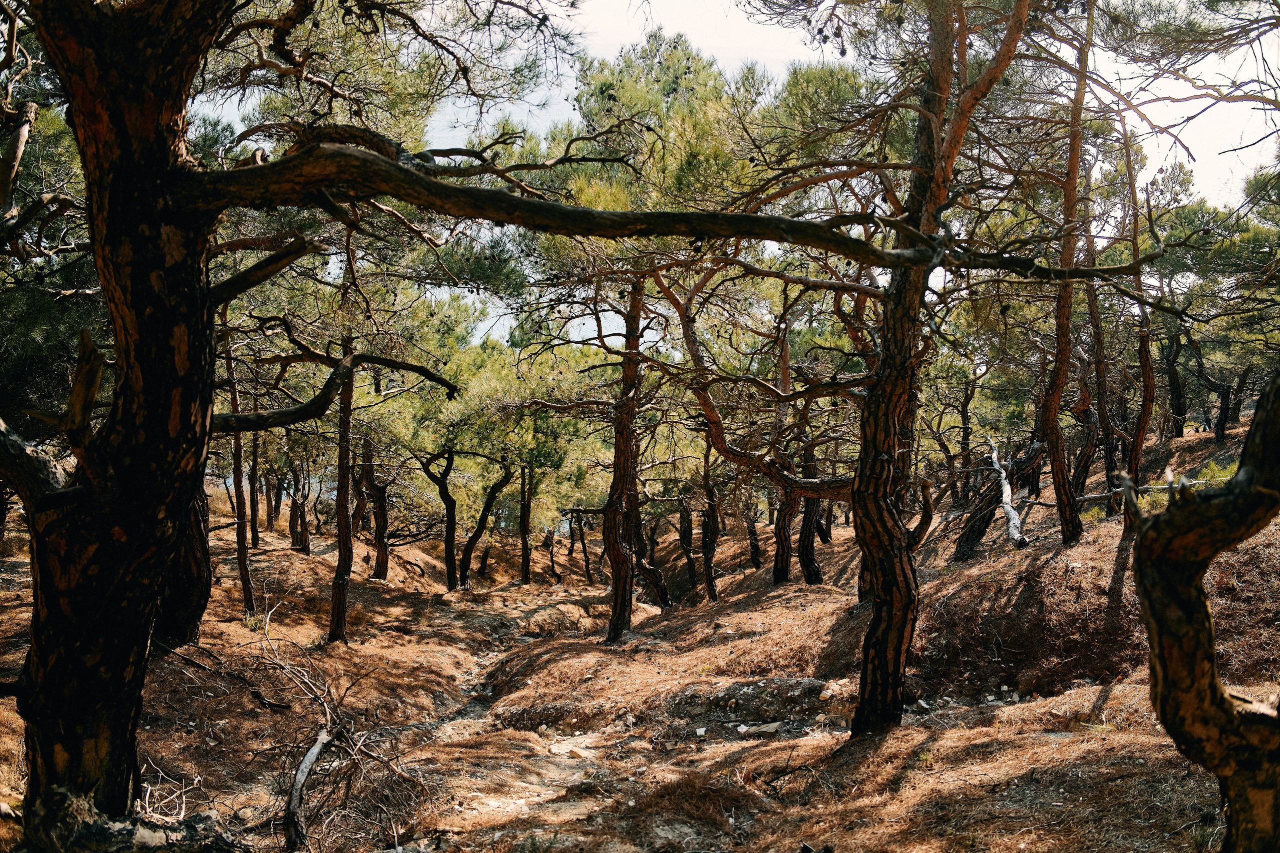 Юг России. Профессиональный Фотограф во Владимире, в Москве и в Суздале — Полина Романычева