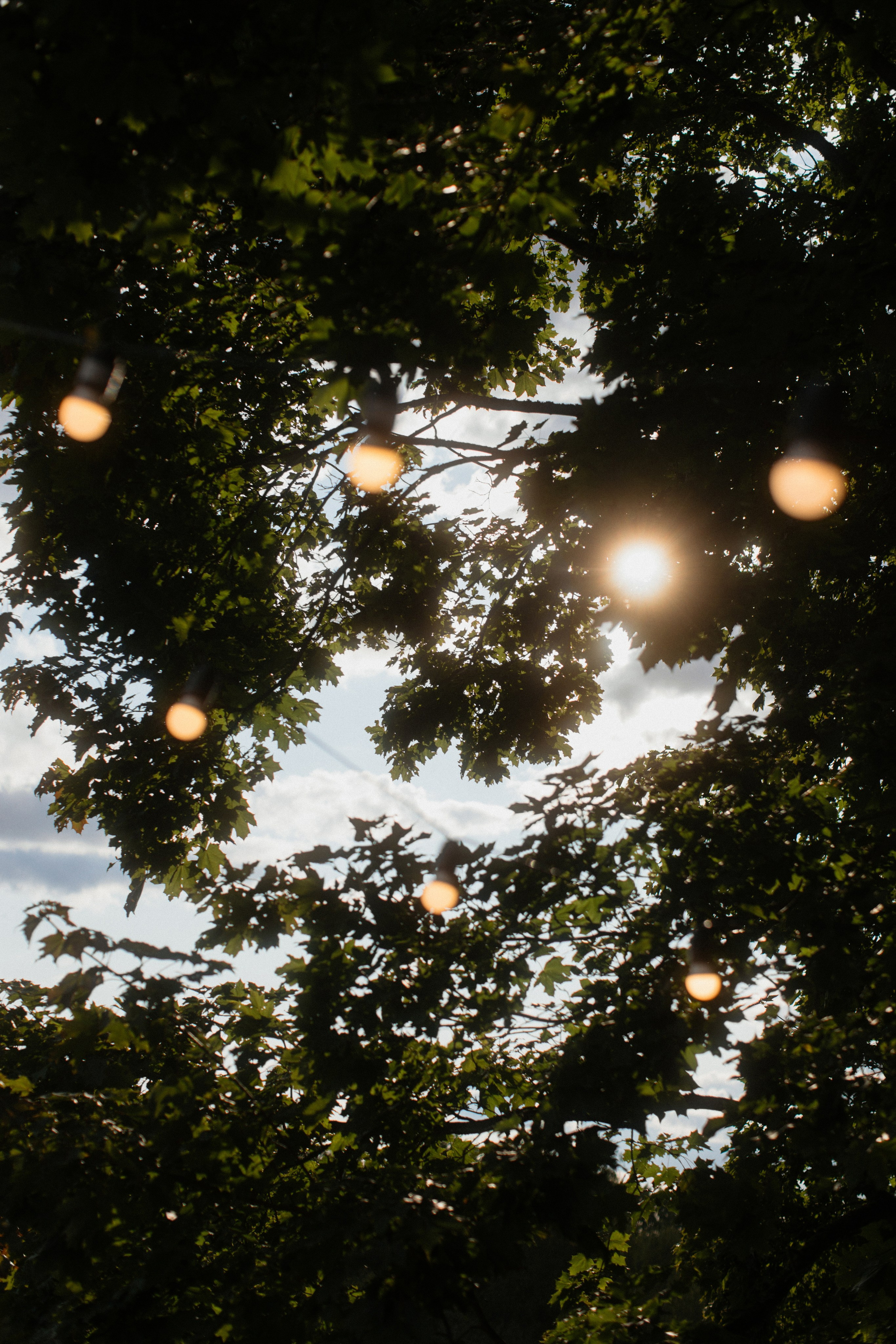 Дима & Катя | Усадьба «Янов Ясень». Свадебный фотограф в Минске Владислав Бабич