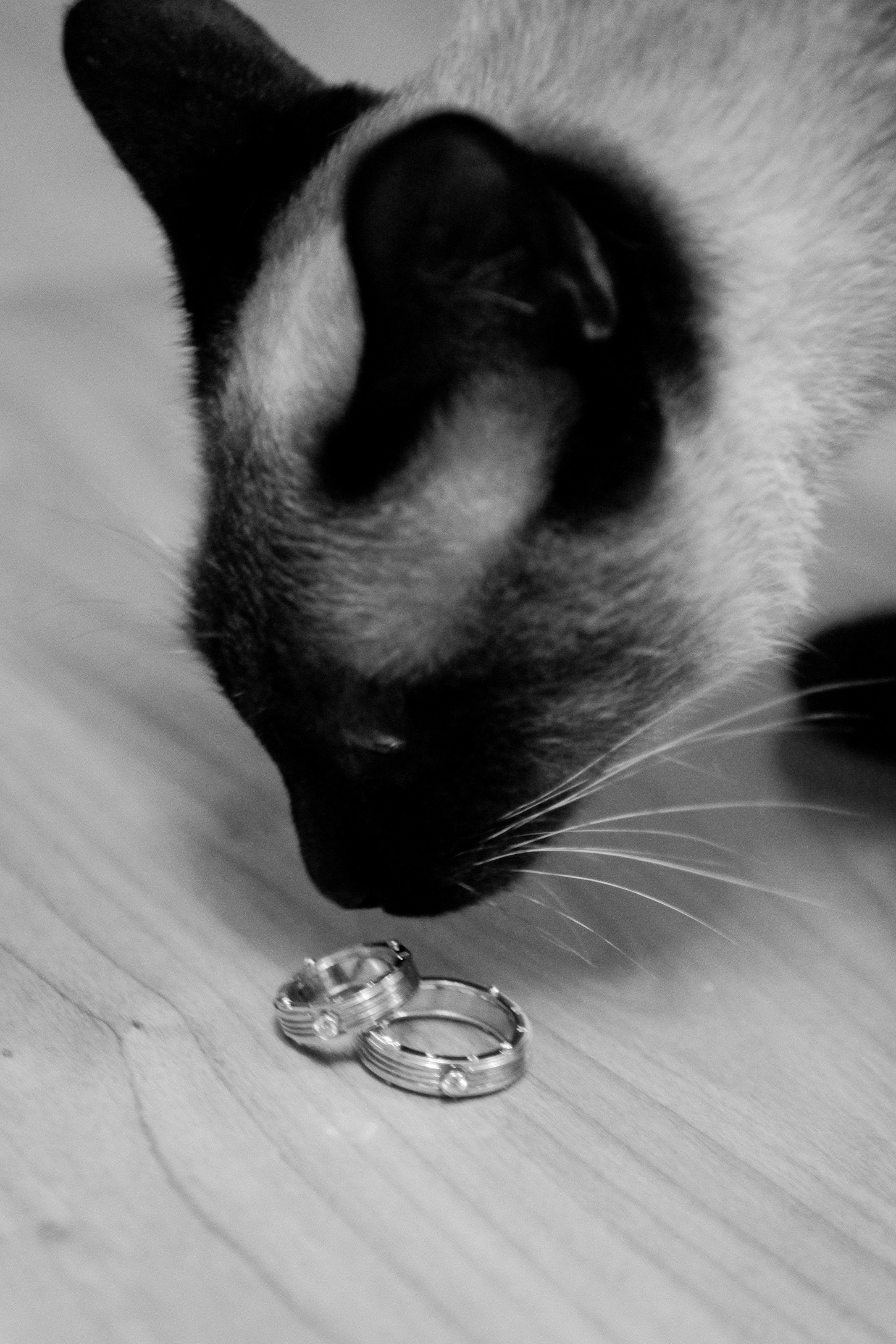 Утро/Morning. Максим Матвийченко и Виктория Басова профессионалы своего дела