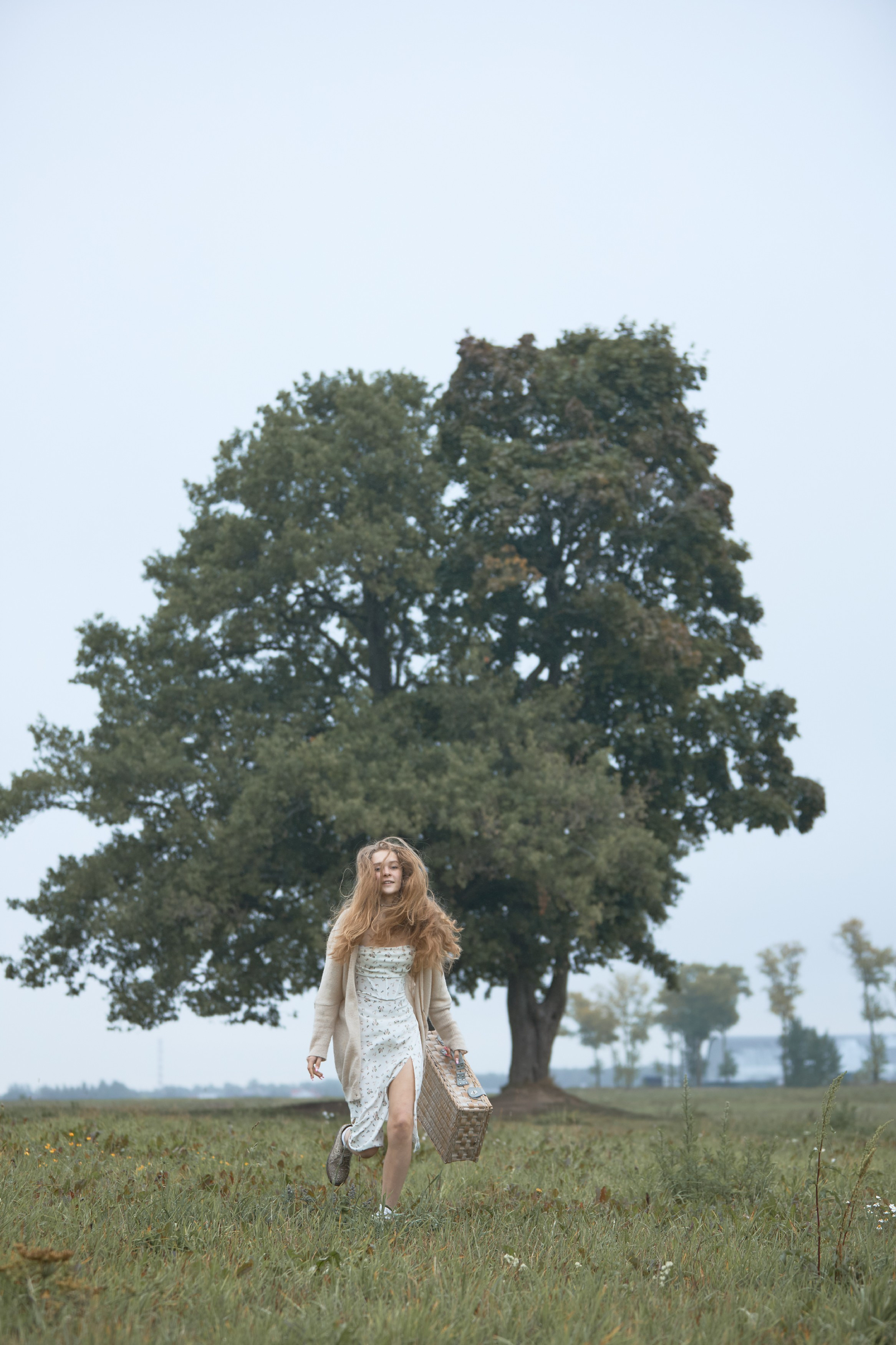 Окраина Царского Села, Соболевская дорога. FOTOFAQ SKOOL г. Санкт-Петербург: очные, дистанционные и онлайн курсы фотографии