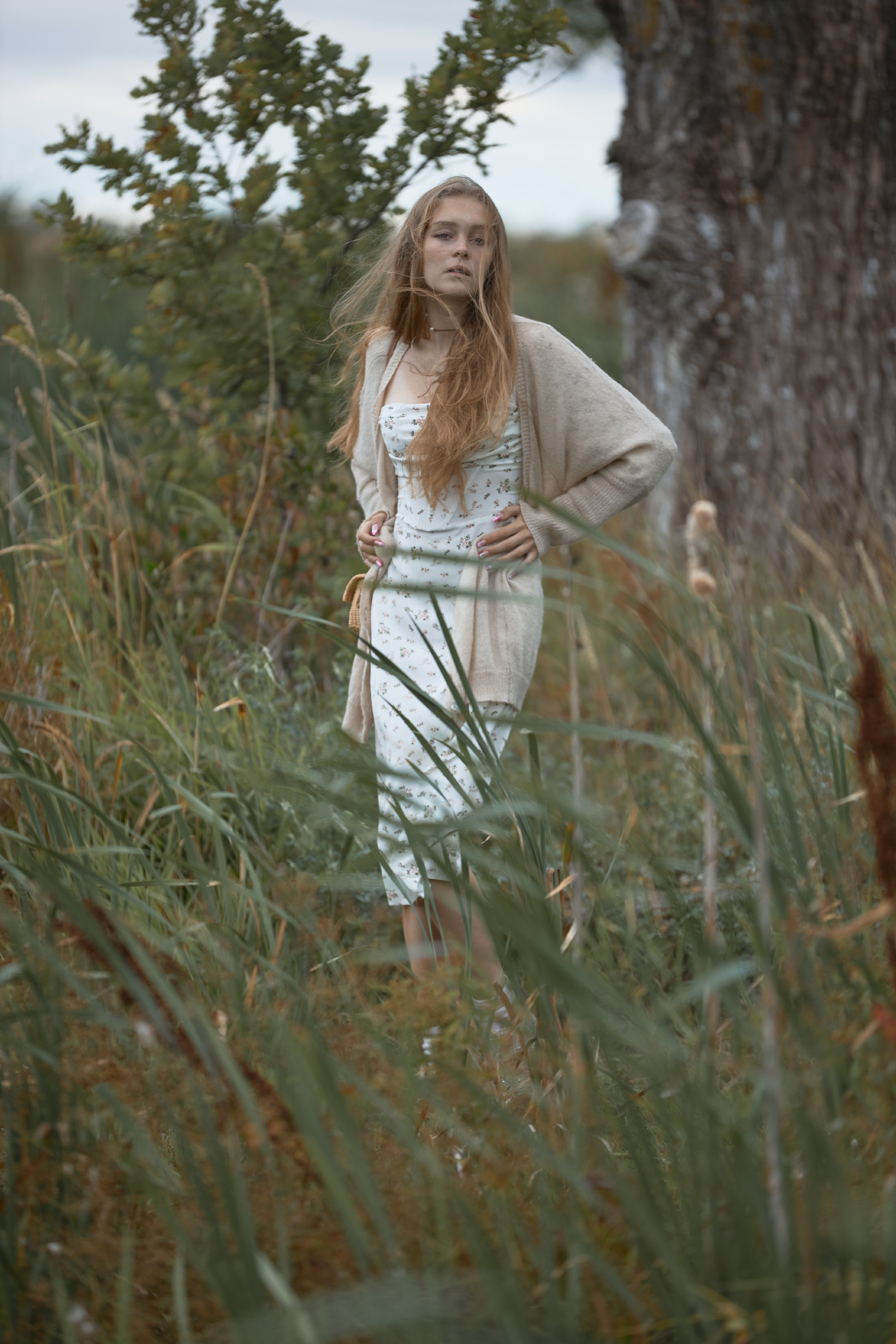 Окраина Царского Села, Соболевская дорога. FOTOFAQ SKOOL г. Санкт-Петербург: очные, дистанционные и онлайн курсы фотографии