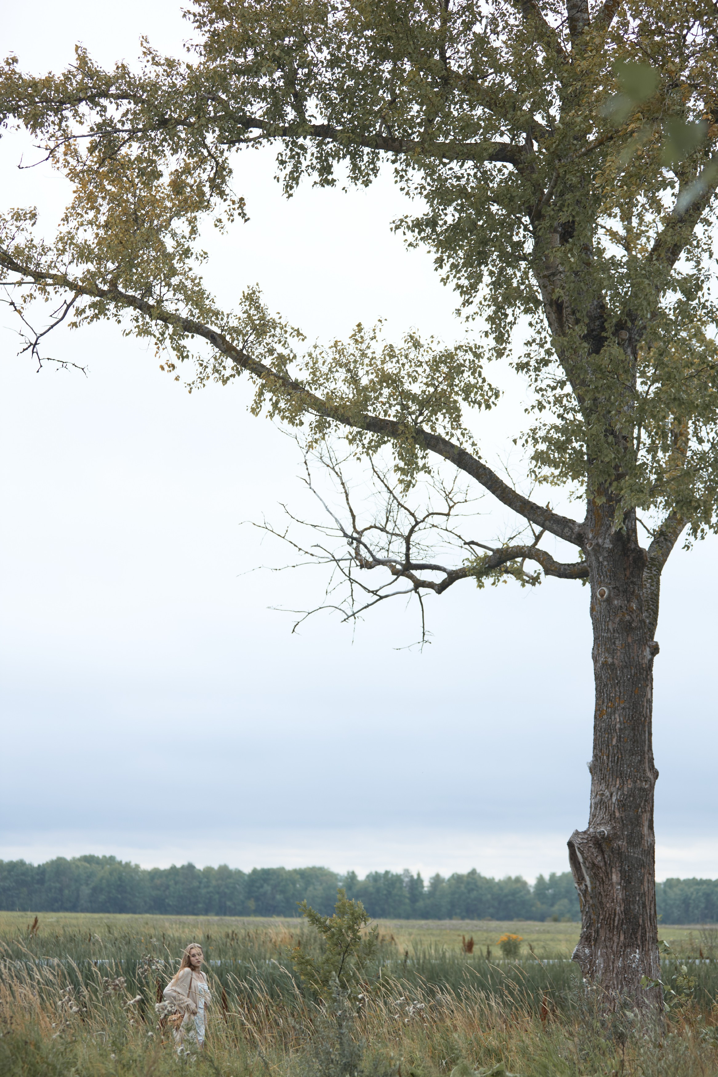 Окраина Царского Села, Соболевская дорога. FOTOFAQ SKOOL г. Санкт-Петербург: очные, дистанционные и онлайн курсы фотографии
