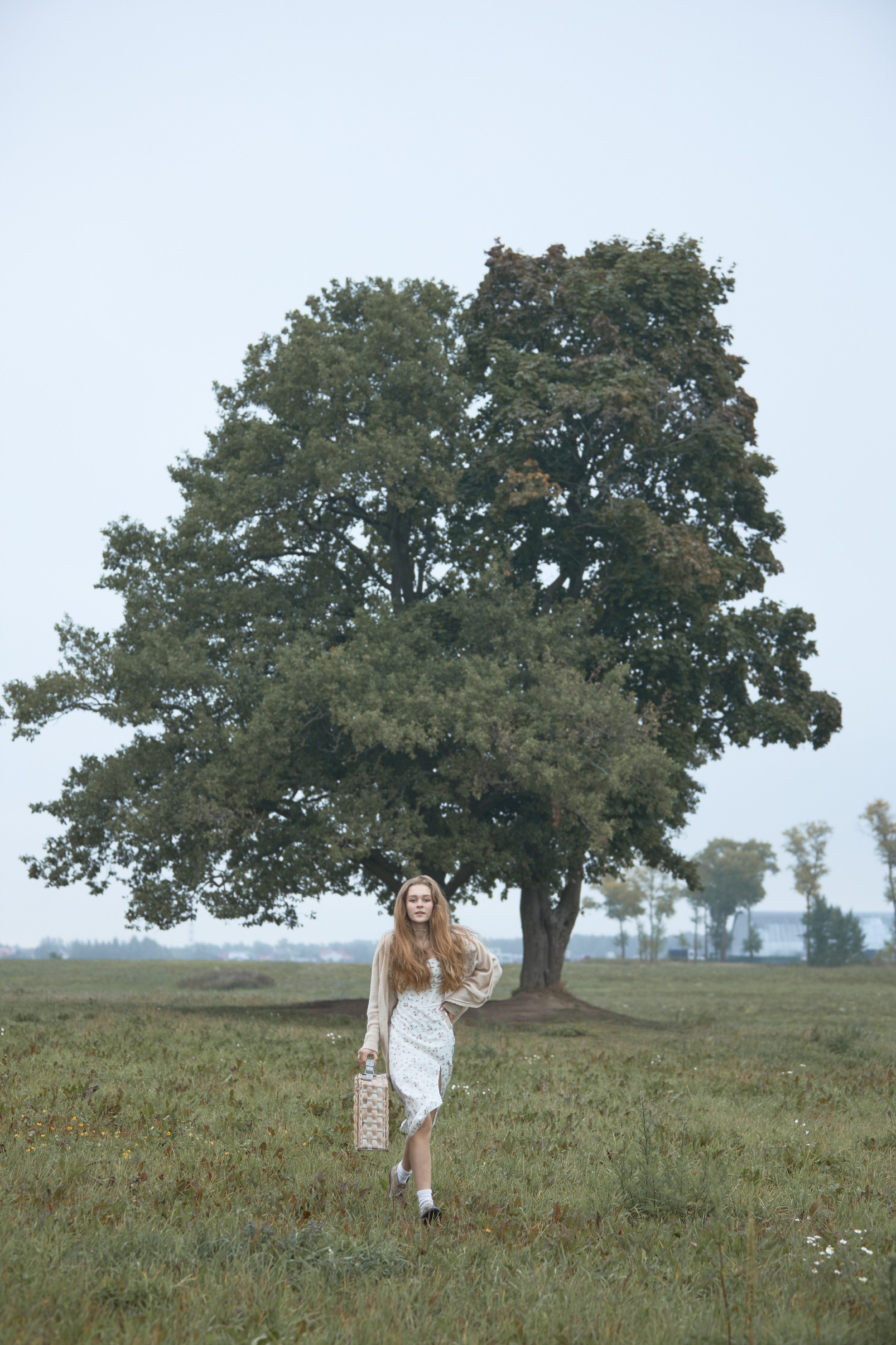 Окраина Царского Села, Соболевская дорога. FOTOFAQ SKOOL г. Санкт-Петербург: очные, дистанционные и онлайн курсы фотографии