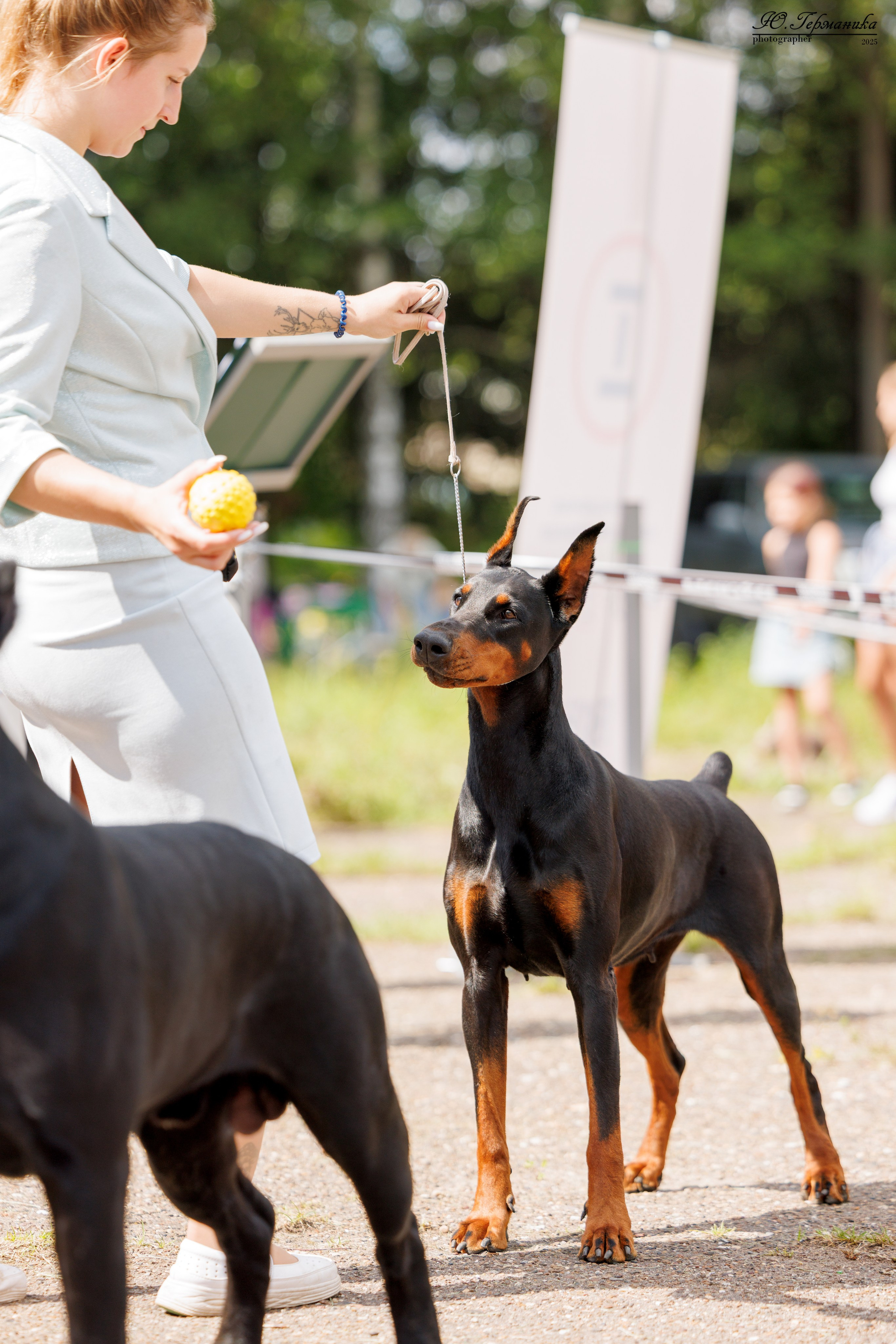 Тверь 10.08.2025. Фотограф-анималист Юлия Германика