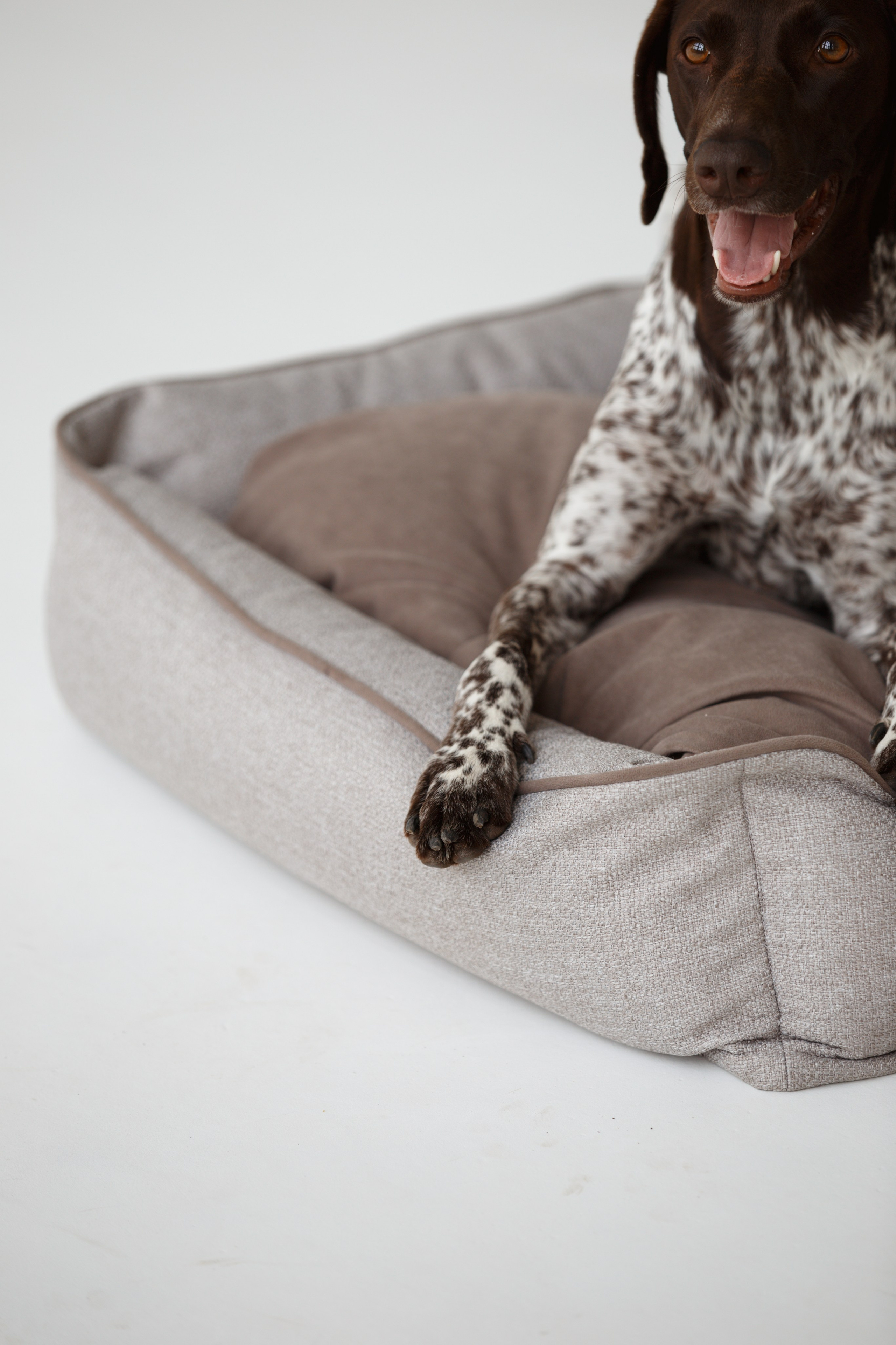 Boonwood Pets лежанки для животных. Фотограф анималист Кристина Карпова, Москва