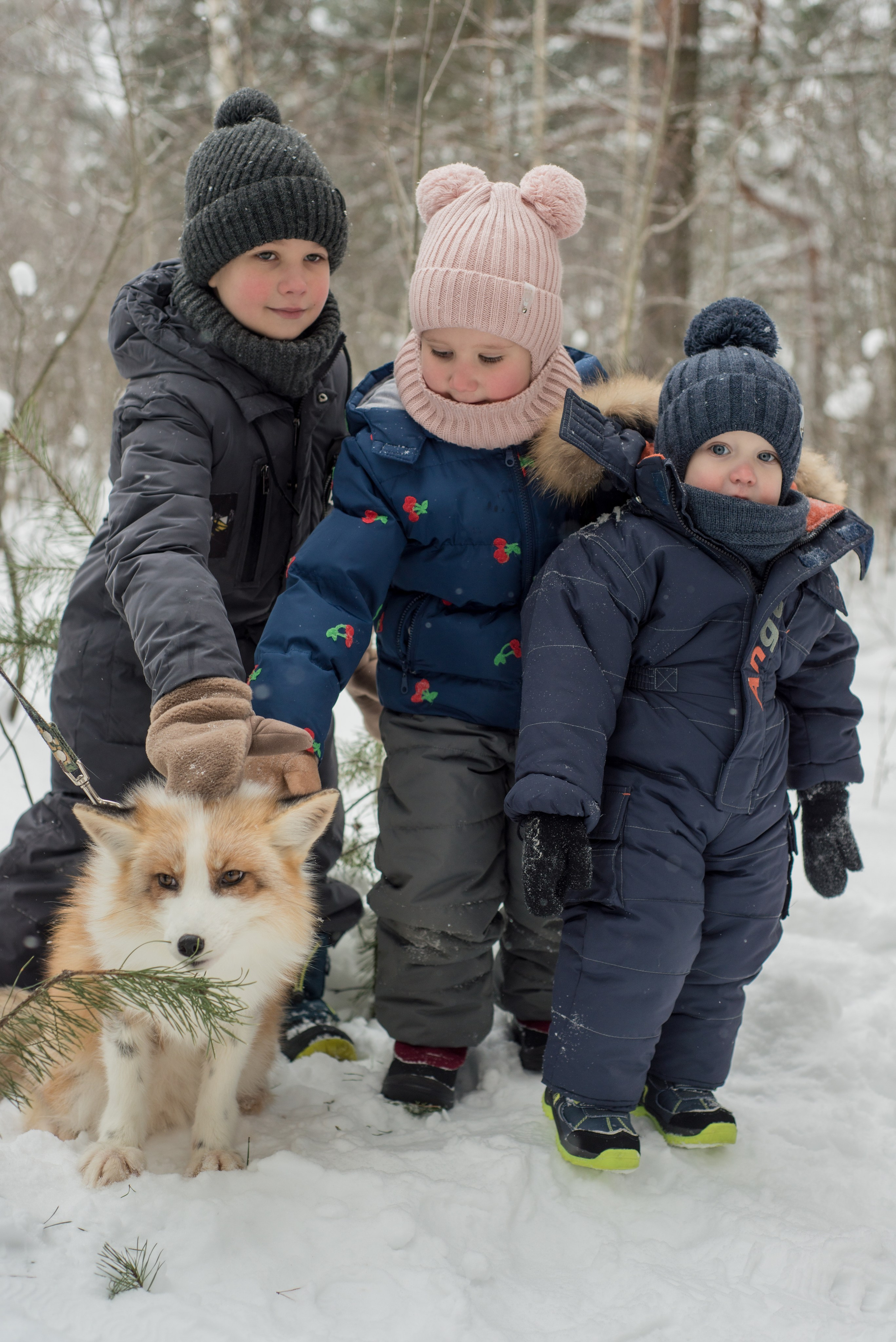 Дети и лис. Фотограф и дизайнер в Москве Екатерина Лобачева