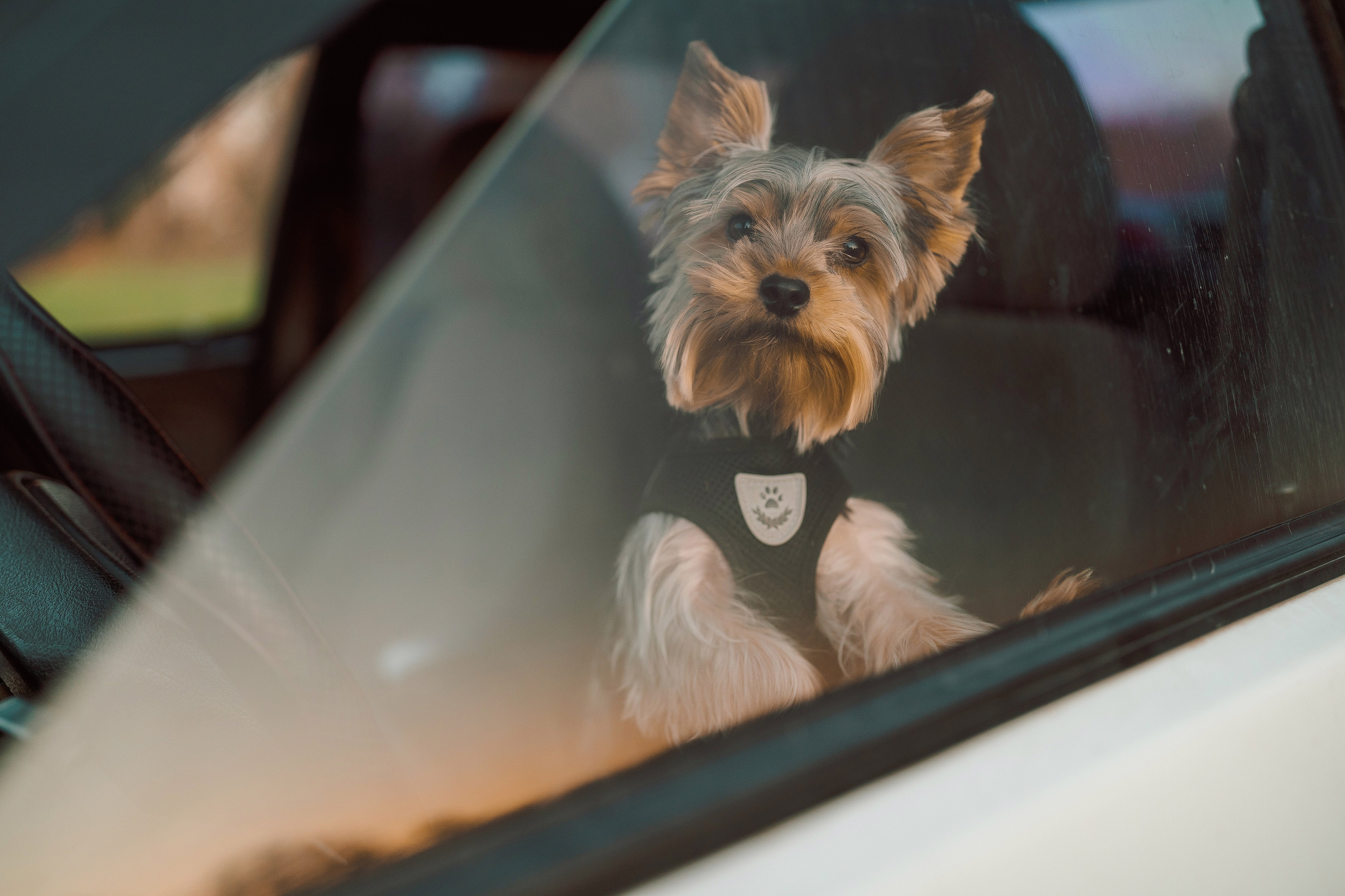 FAMILY. Видеограф Томск, Томская область, Сибирь