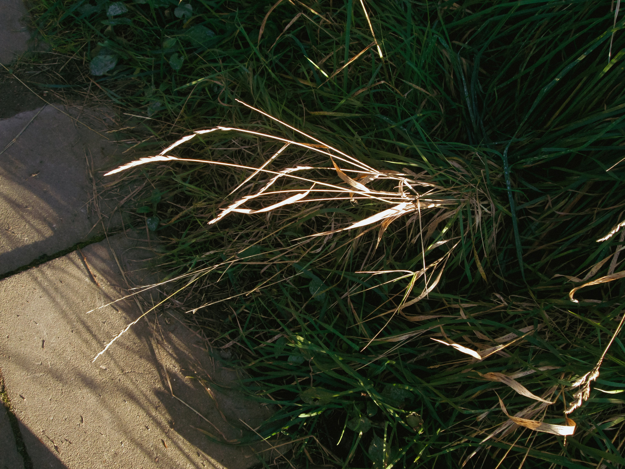 Чувство ушедшего лета. Натали. Janie valde |photographer & visual artist