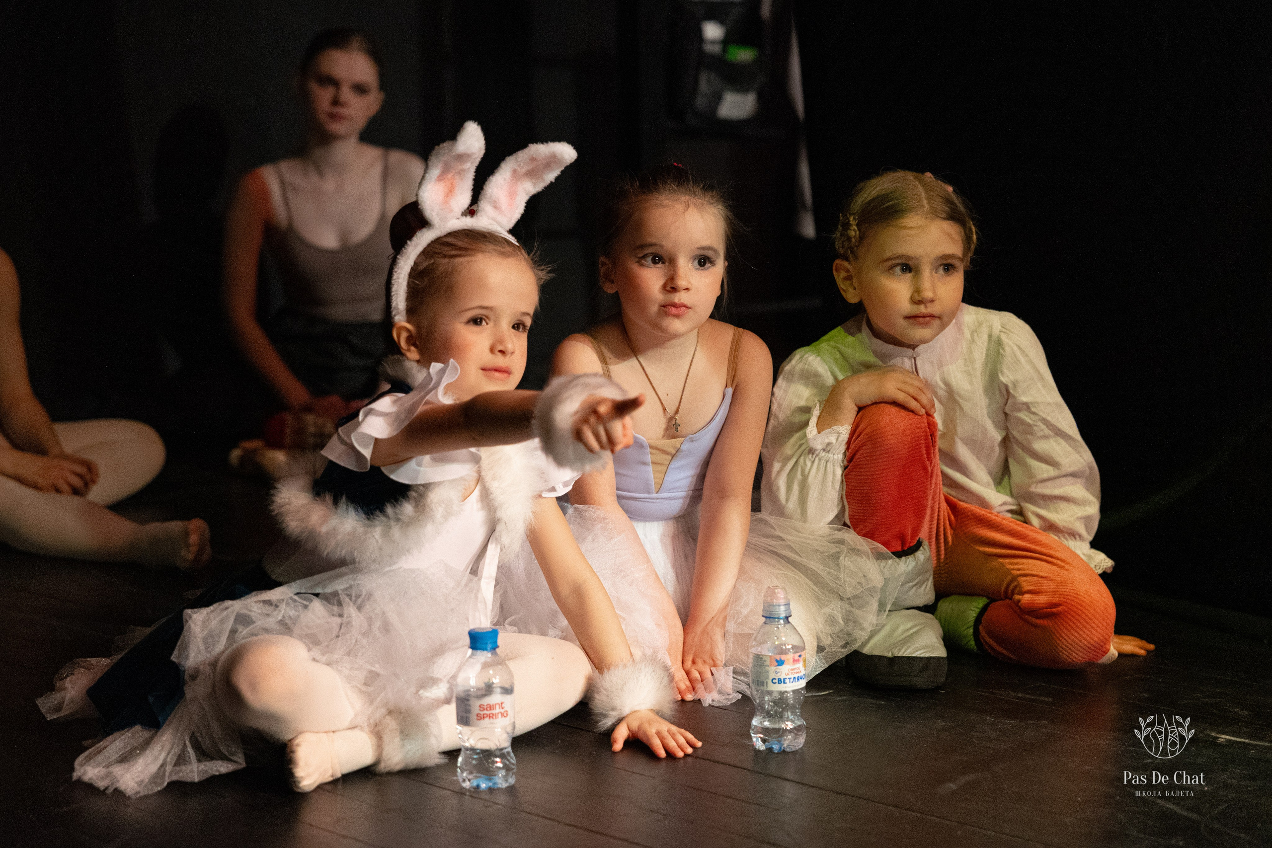 Репортажная съёмка концертов, открытых уроков, балетов. Балетный фотограф Алина Ханько — Душа Балета