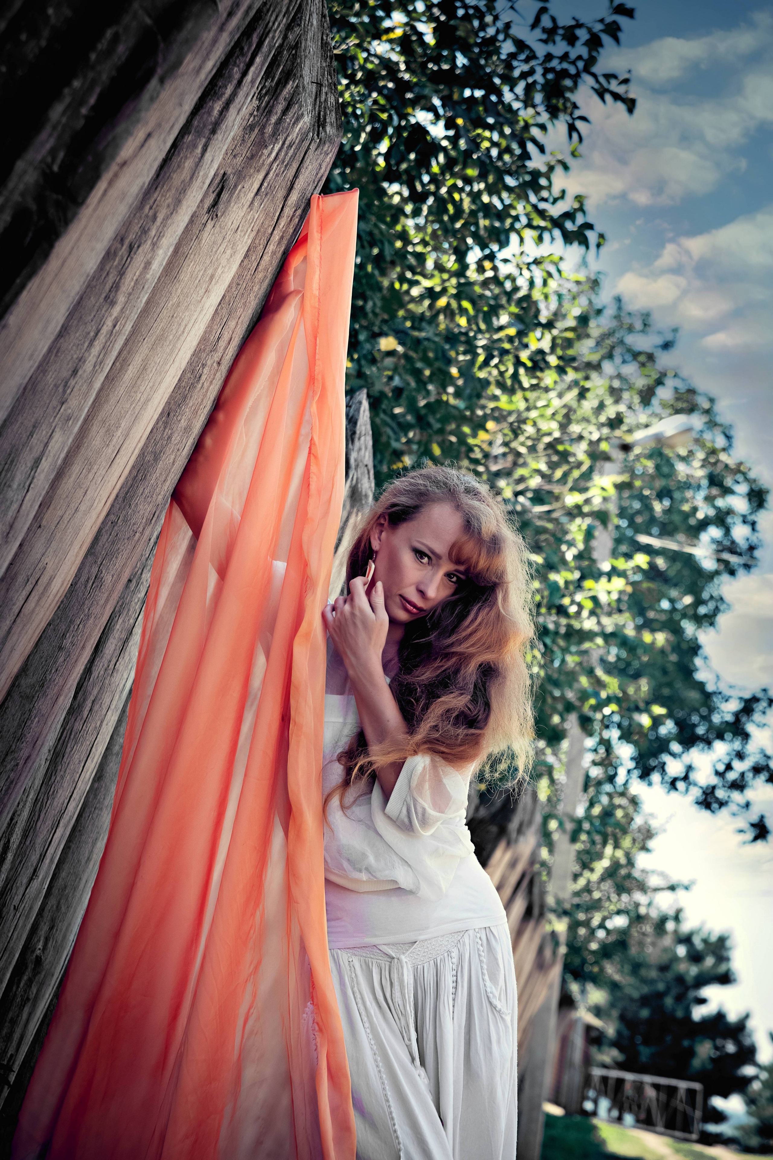 Арт студия «Пегас». Фото- и видео- съемка