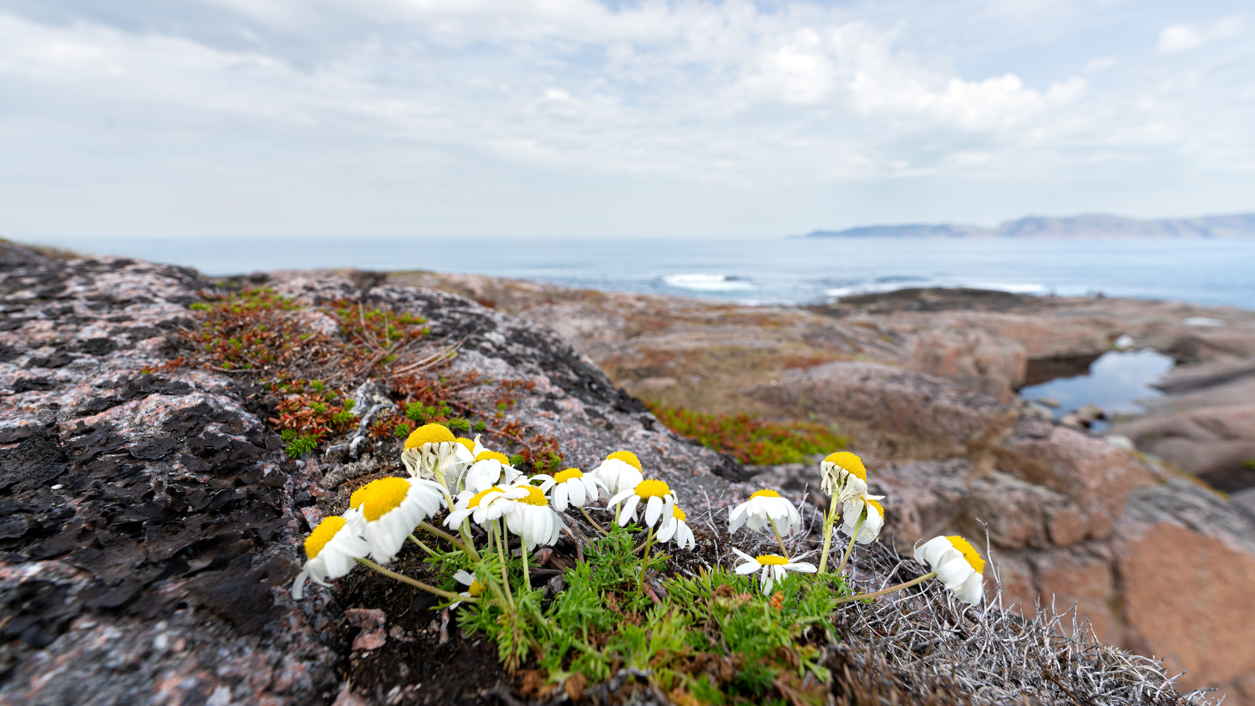 Кольский полуостров. ПОБУДЬ ЗДЕСЬ И ЦЕЛЕЕ БУДЕТ ЭТОТ МИР