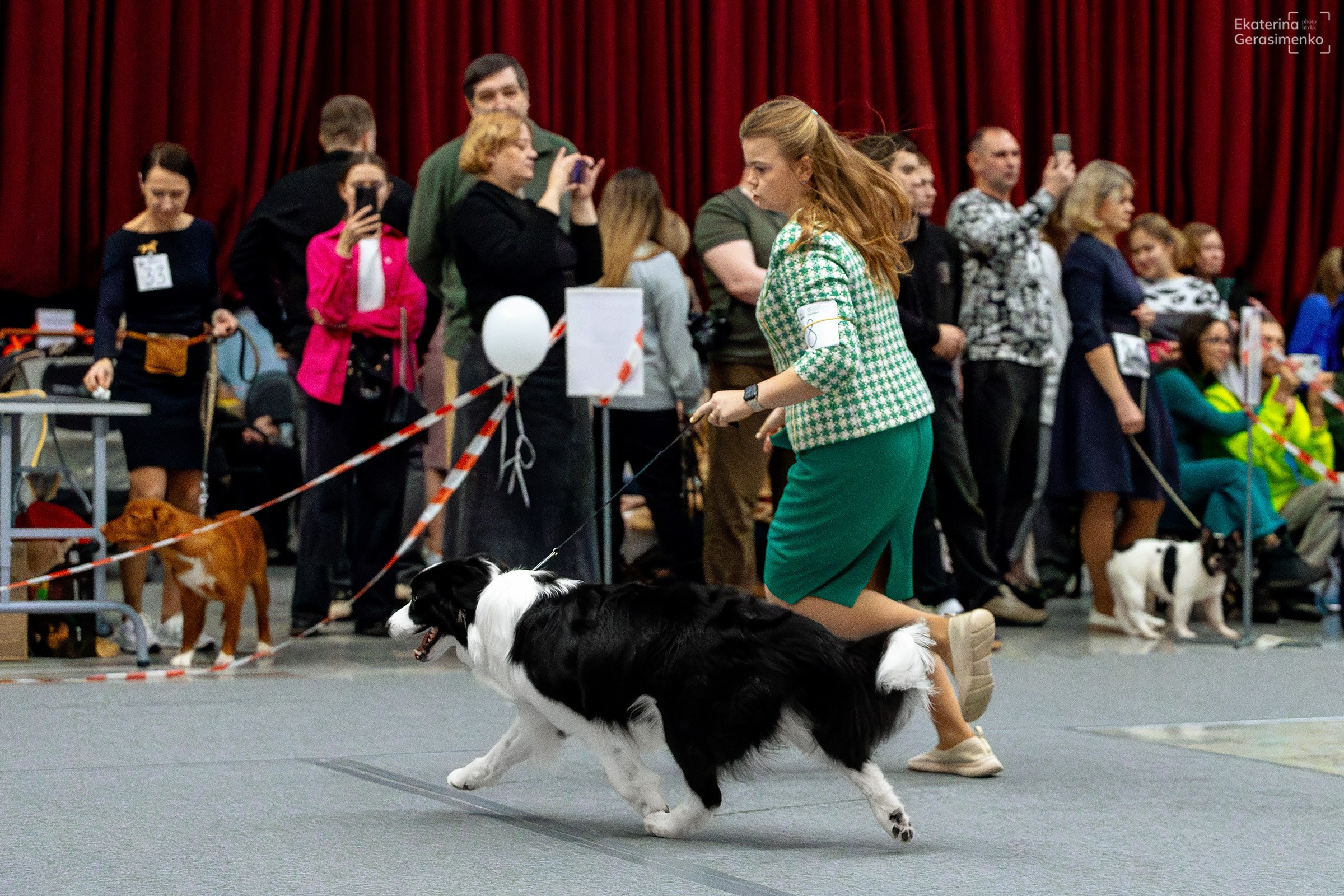 18 января 2025, Выставка РКФ, г. Пермь. Htykk_photo