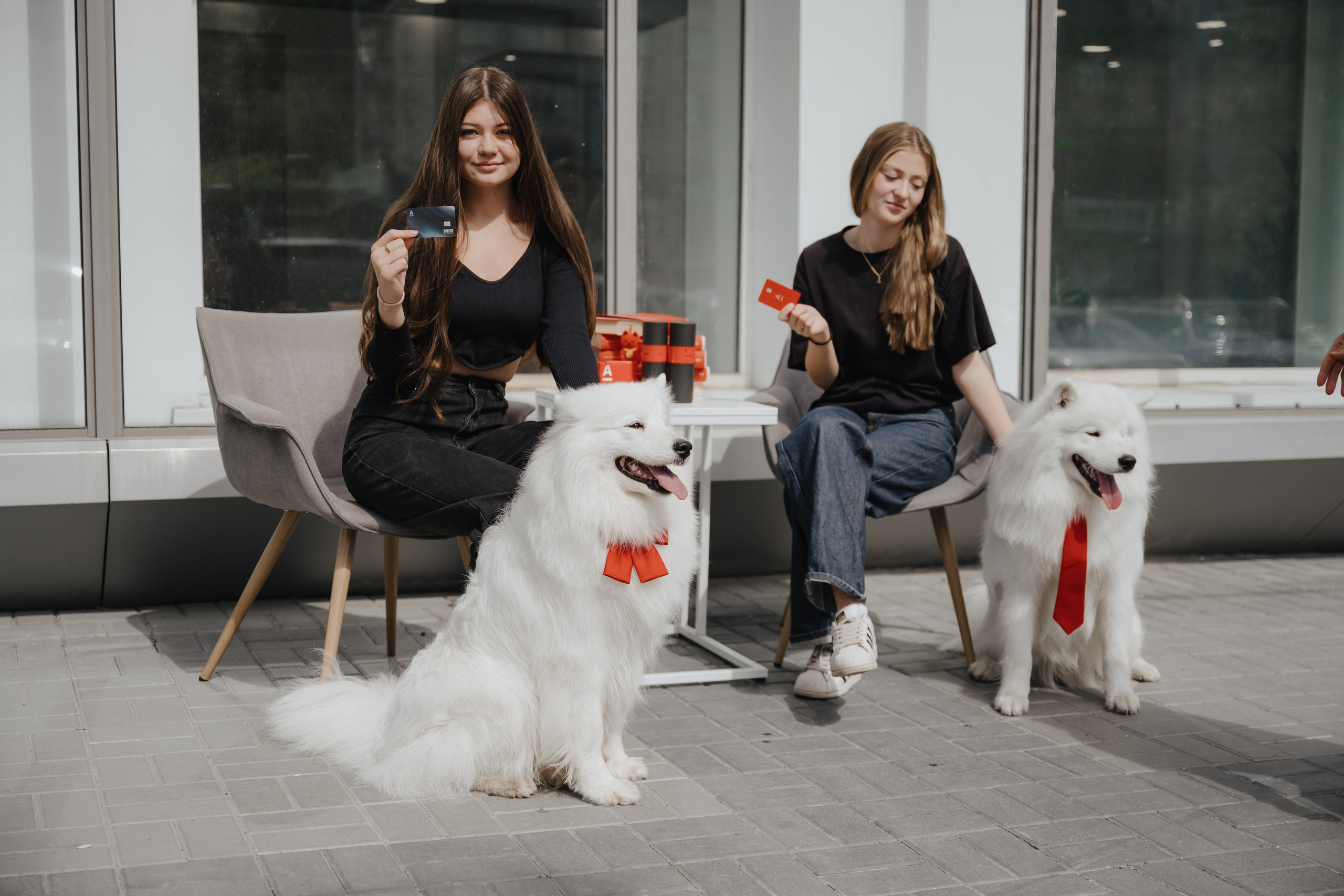 Альфа банк Карла Маркса 55. Фотограф Кристина Тумаева. Самоед Новосибирск