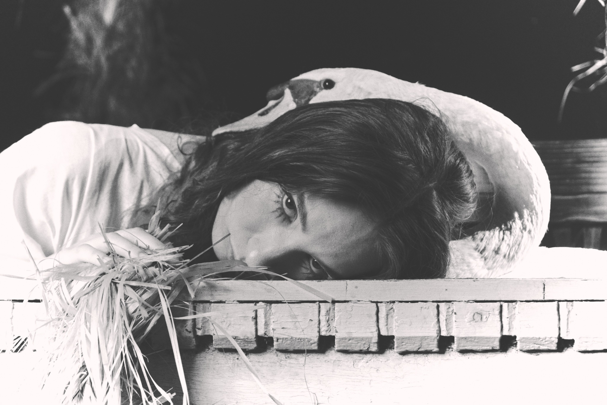 Гуси Лебеди. Фотограф Настя Лев