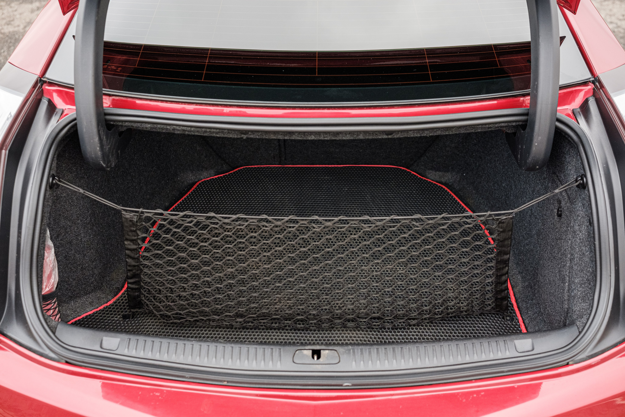 Кэдди. Алексей Никифоров фотограф Москва, Химки