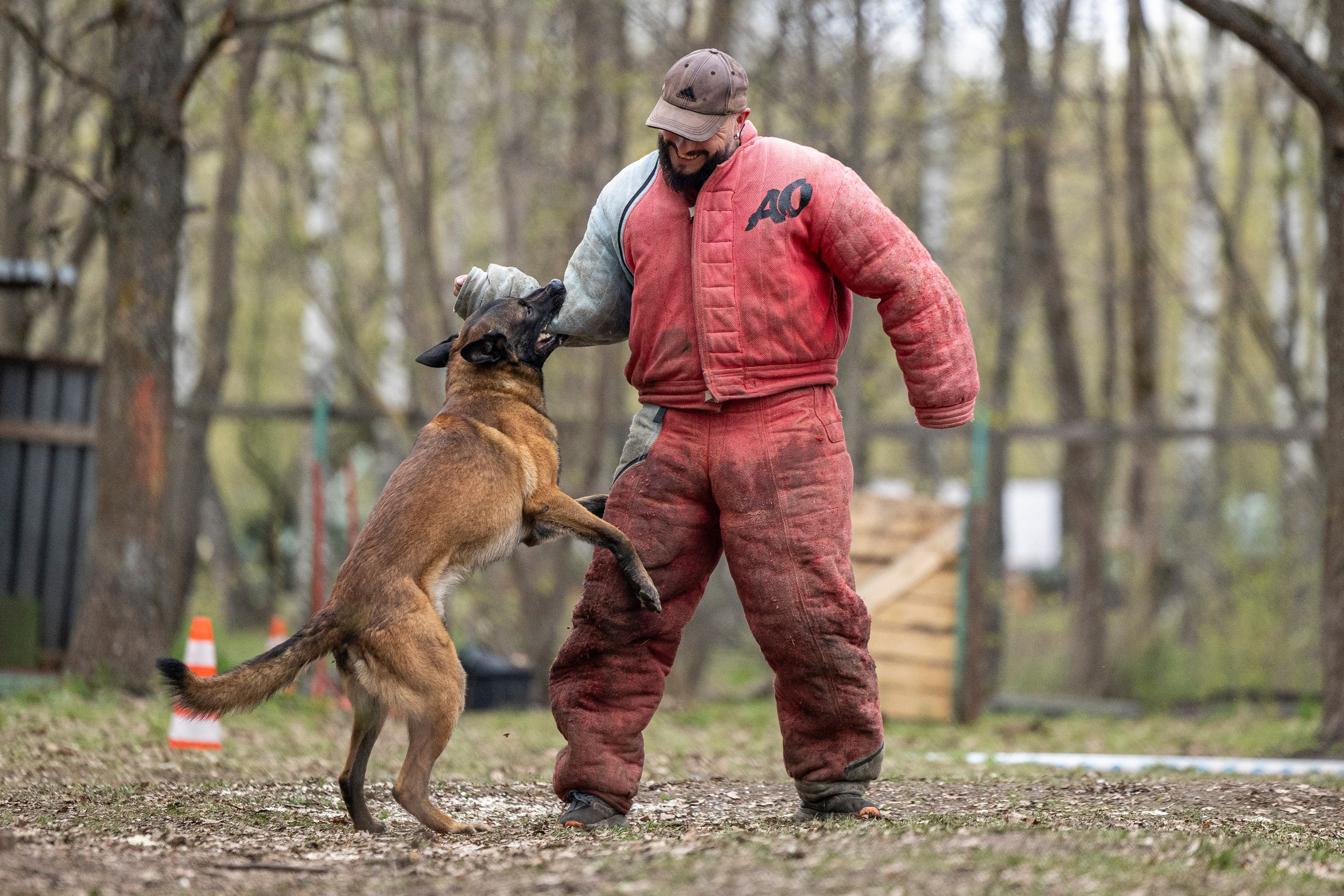 Квалификационные состязания по мондьорингу г. Вологда 11.05.24. Фотограф-анималист Анна Маринич